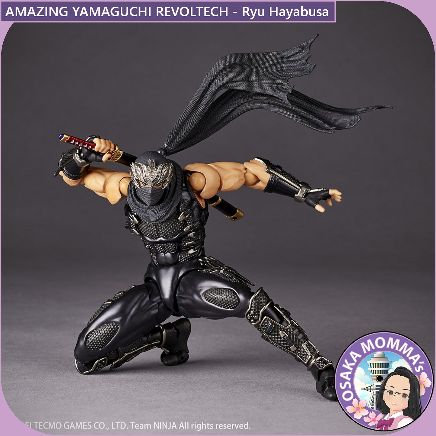 Amazing Yamaguchi Revoltech - Ryu Hayabusa