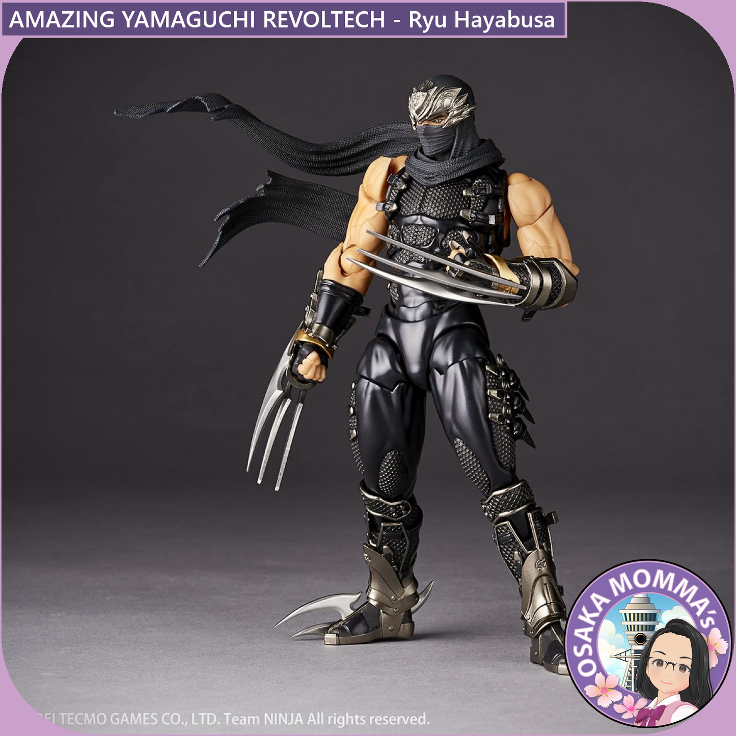 Amazing Yamaguchi Revoltech - Ryu Hayabusa