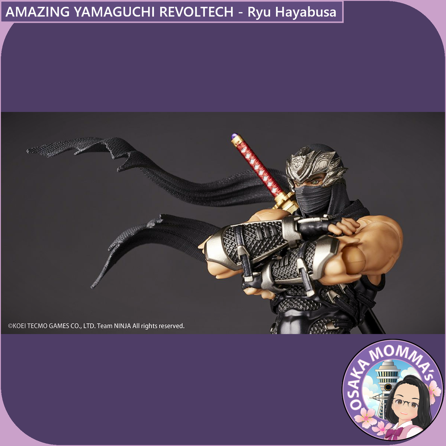 Amazing Yamaguchi Revoltech - Ryu Hayabusa