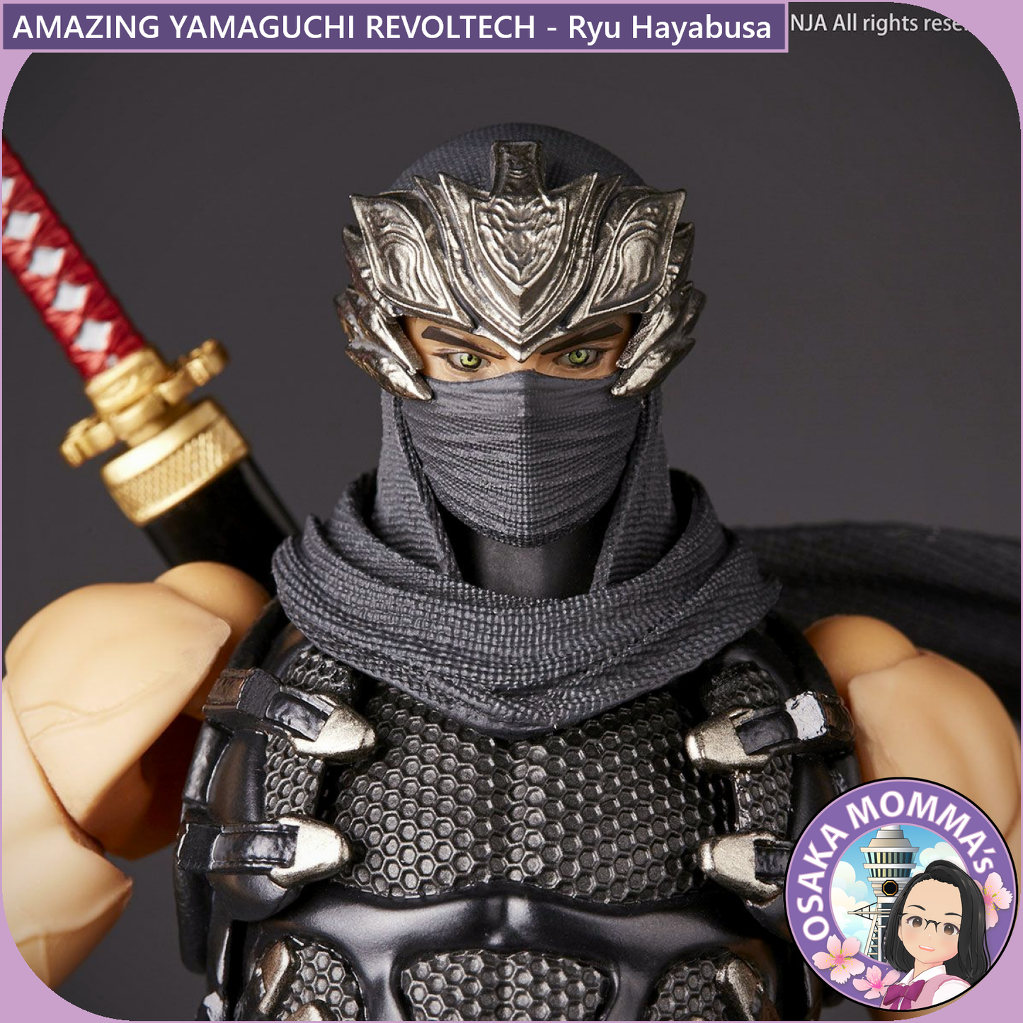 Amazing Yamaguchi Revoltech - Ryu Hayabusa