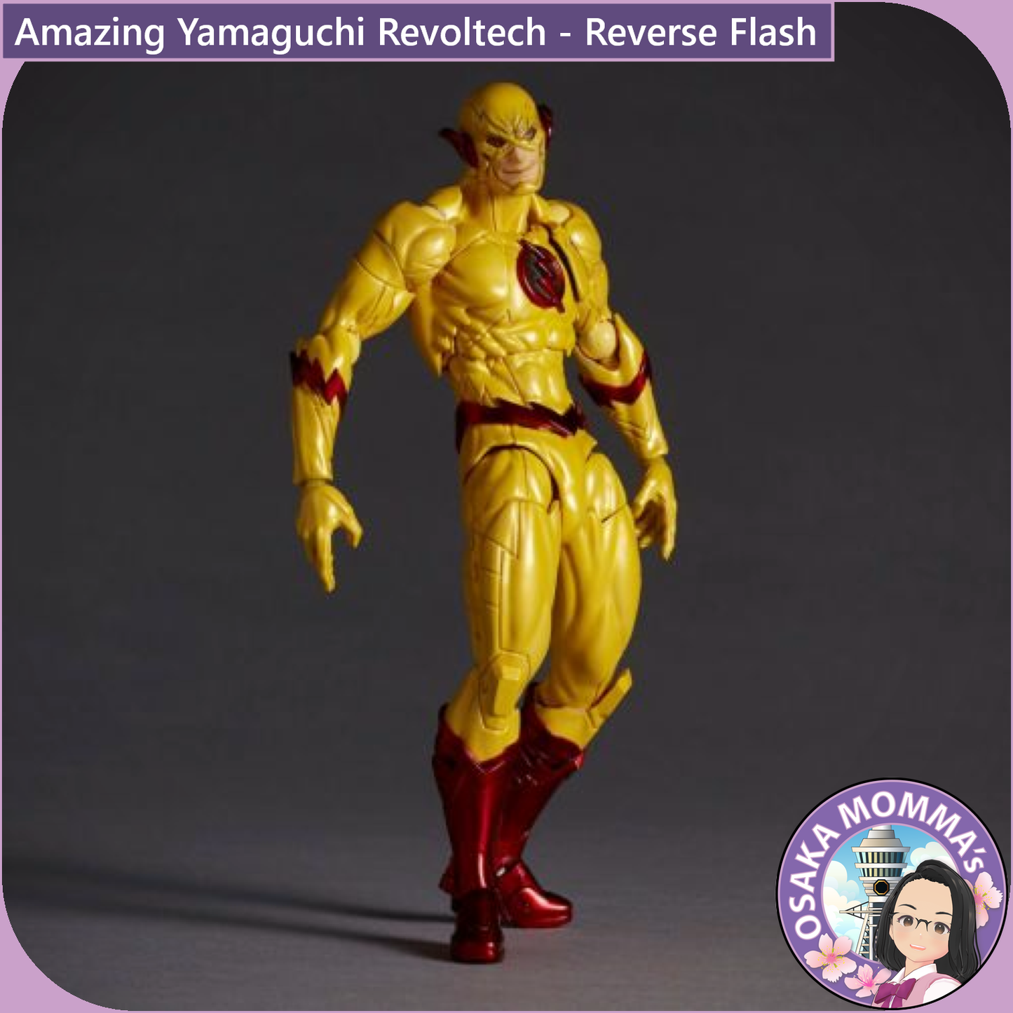 Amazing Yamaguchi Revoltech - Reverse Flash