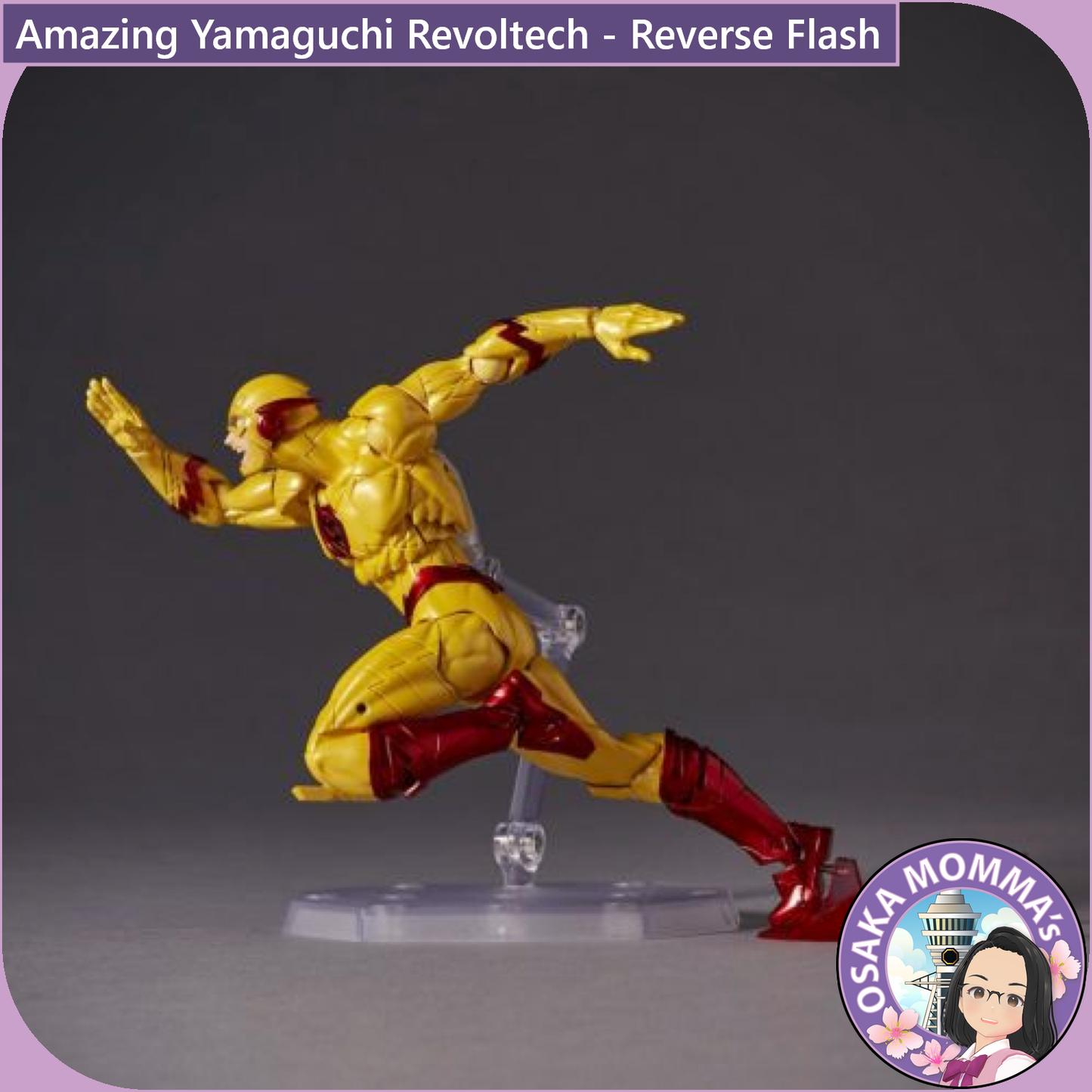 Amazing Yamaguchi Revoltech - Reverse Flash