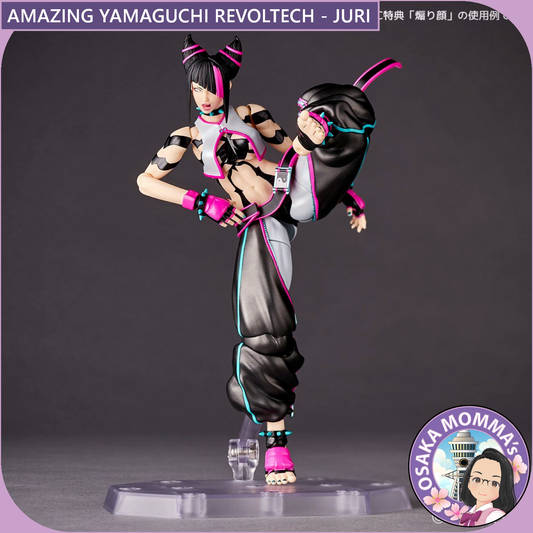 Amazing Yamaguchi Revoltech - JURI【TBD】