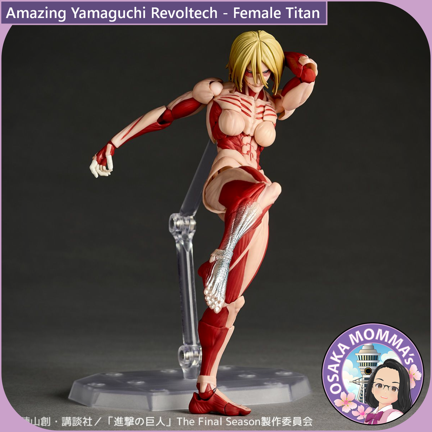 Amazing Yamaguchi Revoltech - Female Titan【Apr. 2026】