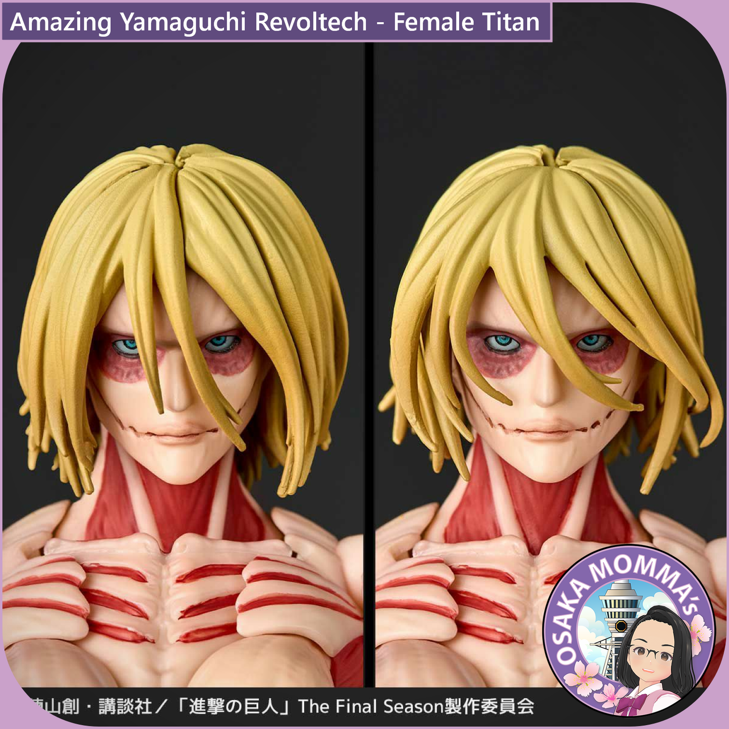 Amazing Yamaguchi Revoltech - Female Titan【Apr. 2026】