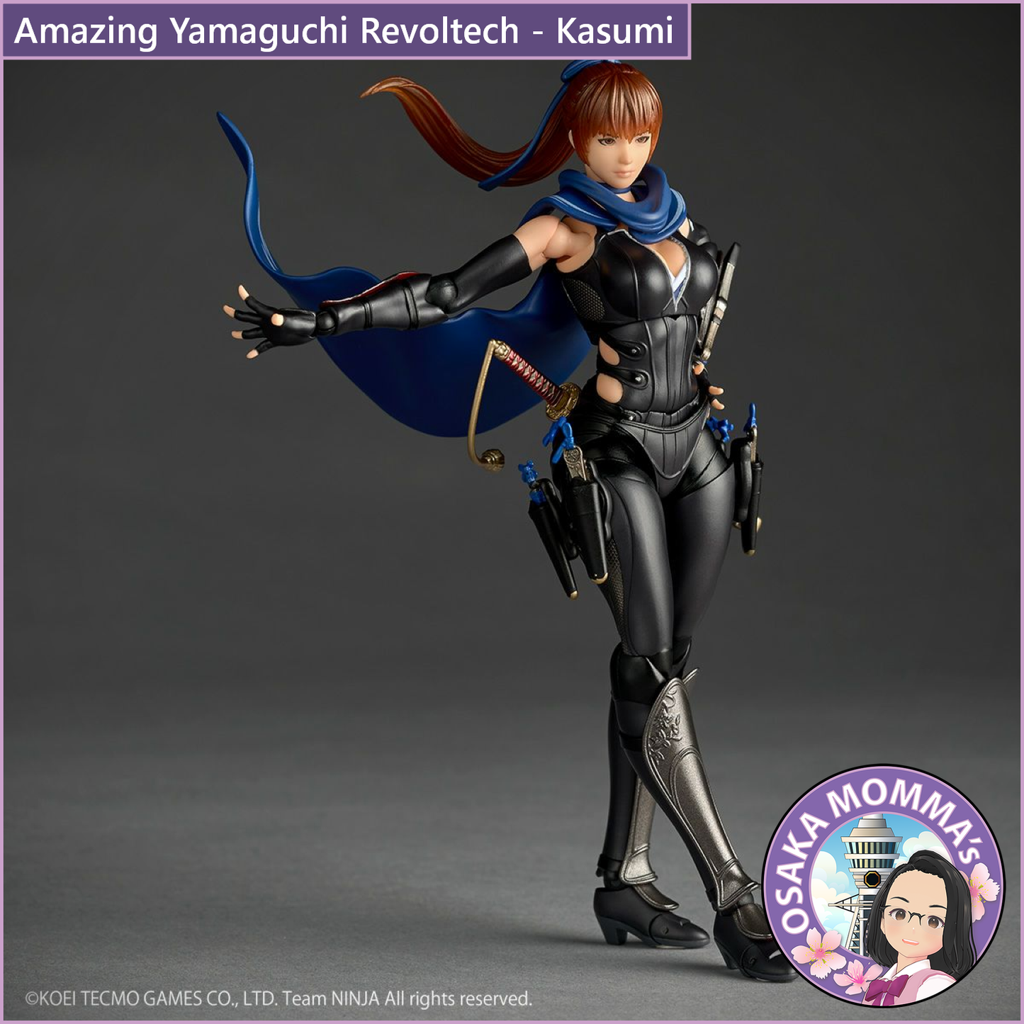 Amazing Yamaguchi Revoltech - Kasumi【Jan.2026】