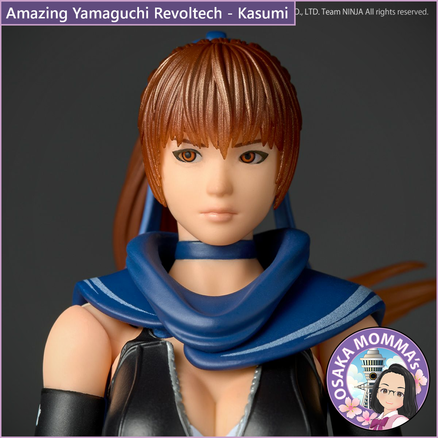 Amazing Yamaguchi Revoltech - Kasumi【Jan.2026】