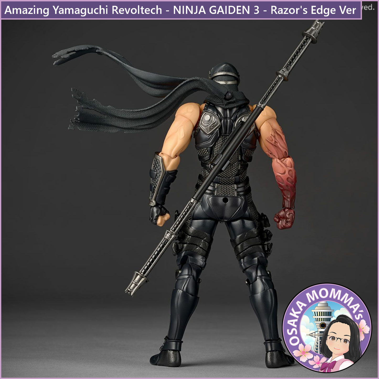 Amazing Yamaguchi Revoltech - NINJA GAIDEN 3 - Razor's Edge Ver【Jan.2026】