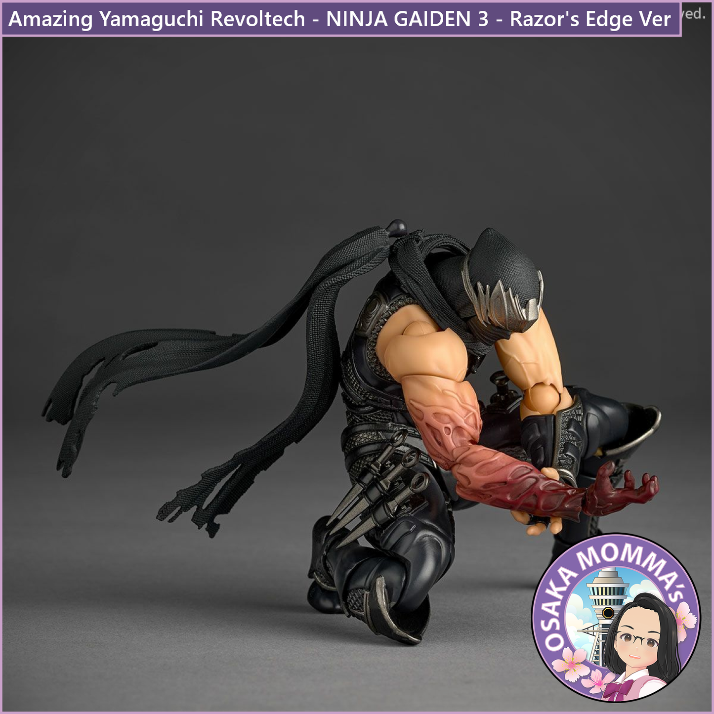 Amazing Yamaguchi Revoltech - NINJA GAIDEN 3 - Razor's Edge Ver【Jan.2026】