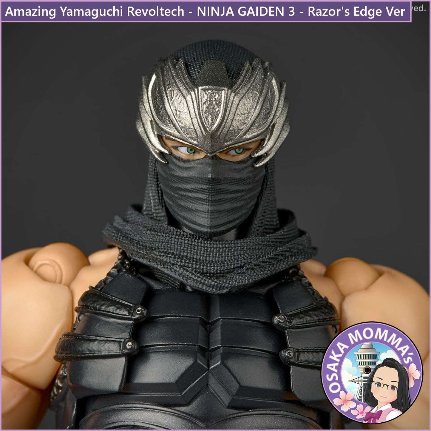 Amazing Yamaguchi Revoltech - NINJA GAIDEN 3 - Razor's Edge Ver【Jan.2026】