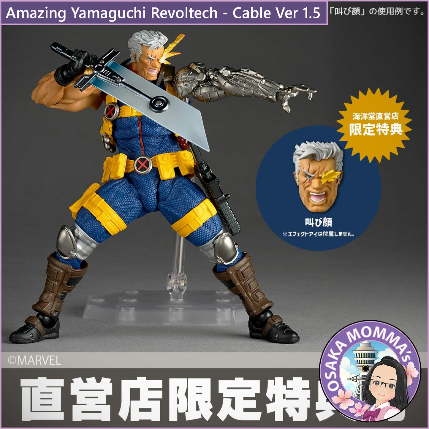 Amazing Yamaguchi Revoltech - Cable Ver. 1.5【Apr.2026】