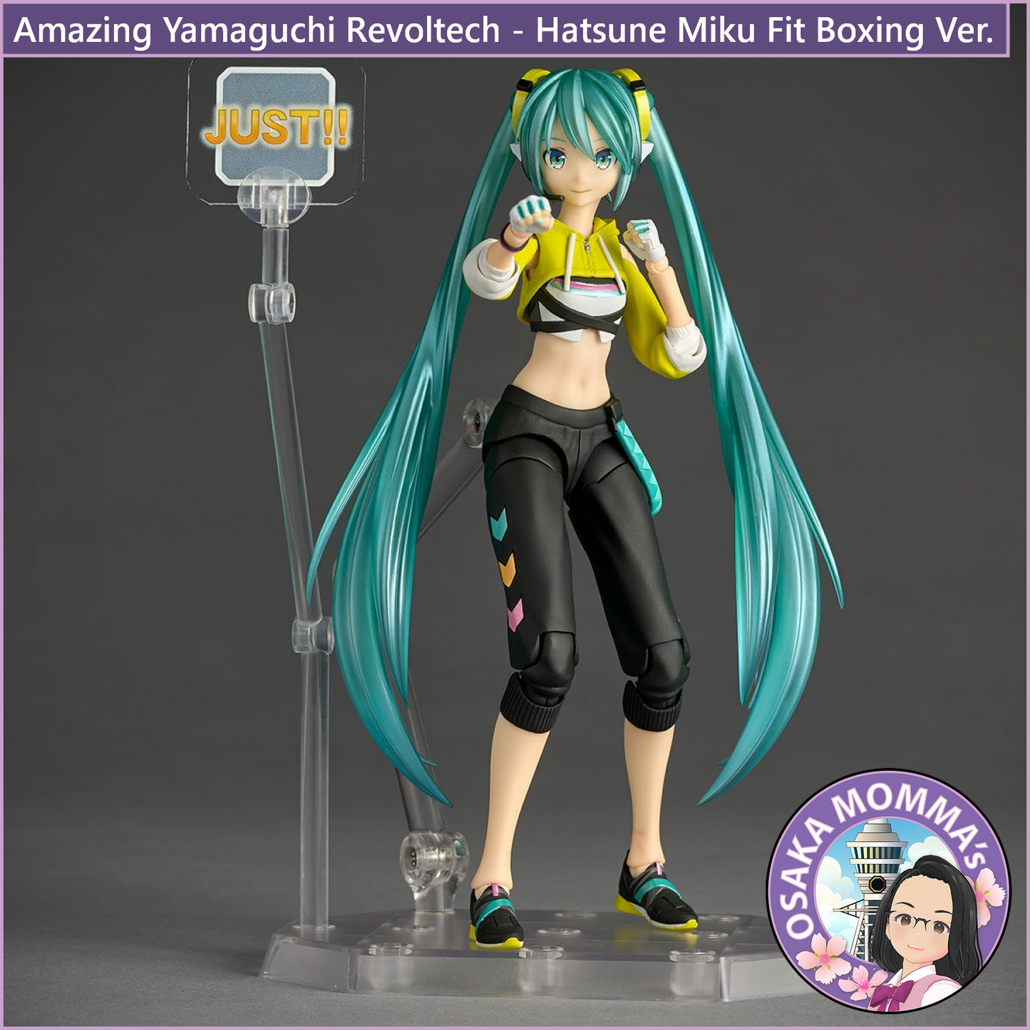 Amazing Yamaguchi Revoltech - Miku Hatsune - Fit Boxing Ver.【Jan.2026】