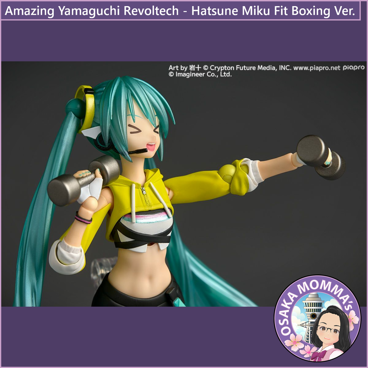 Amazing Yamaguchi Revoltech - Miku Hatsune - Fit Boxing Ver.【Jan.2026】