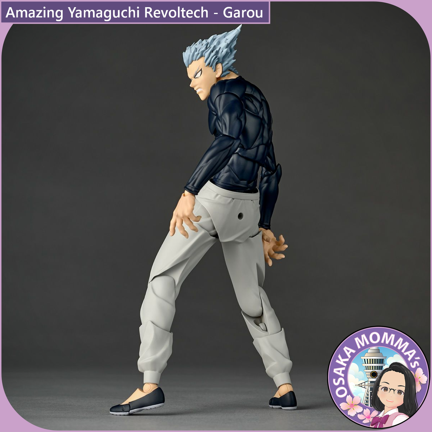 Amazing Yamaguchi Revoltech - Garou【May, 2026】