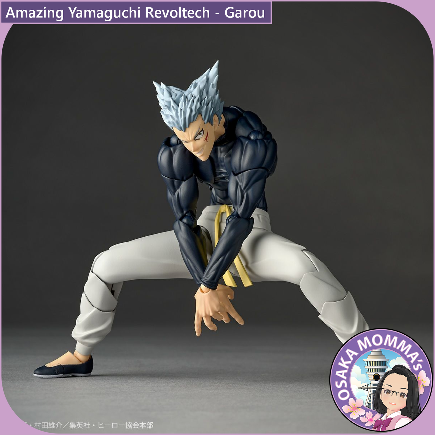 Amazing Yamaguchi Revoltech - Garou【May, 2026】
