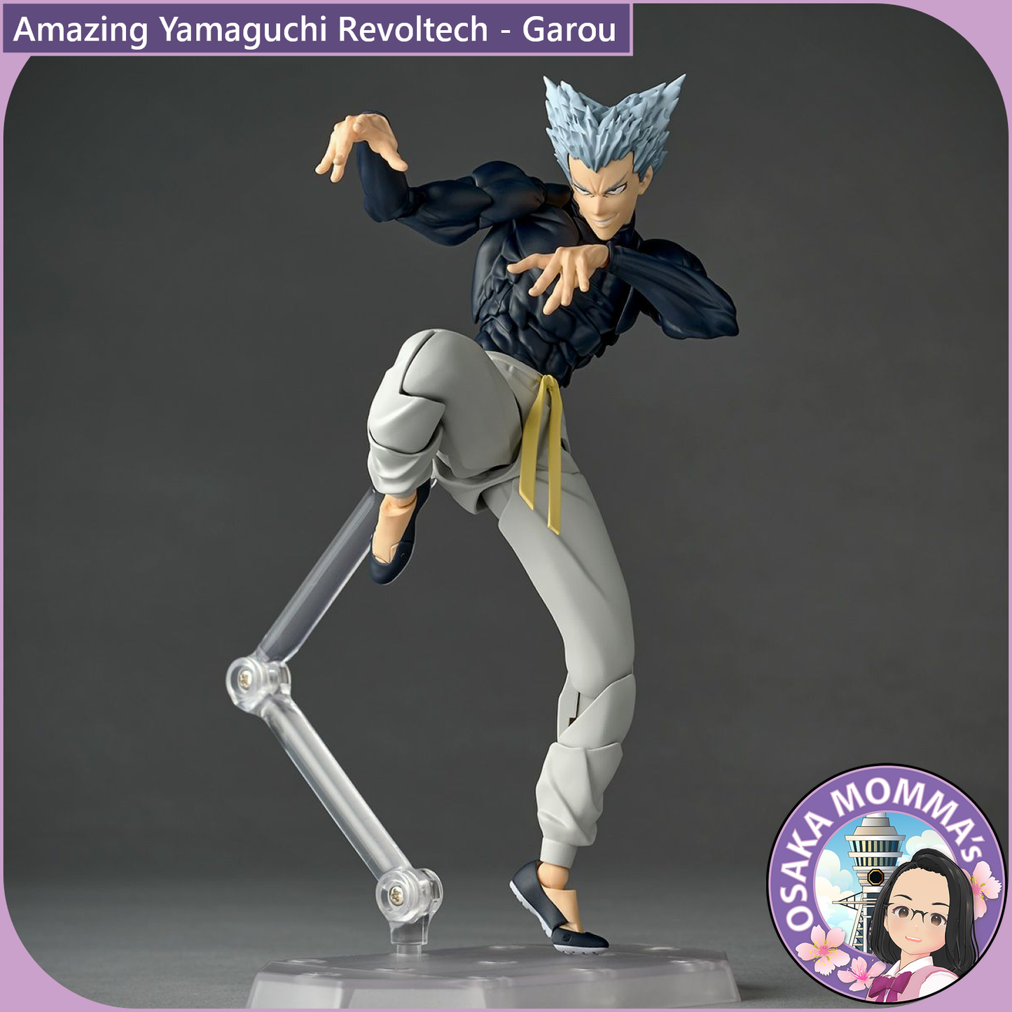 Amazing Yamaguchi Revoltech - Garou【May, 2026】