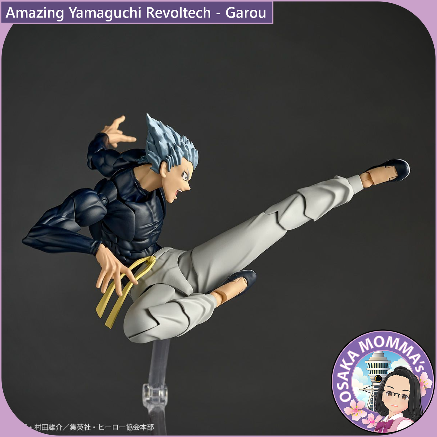 Amazing Yamaguchi Revoltech - Garou【May, 2026】