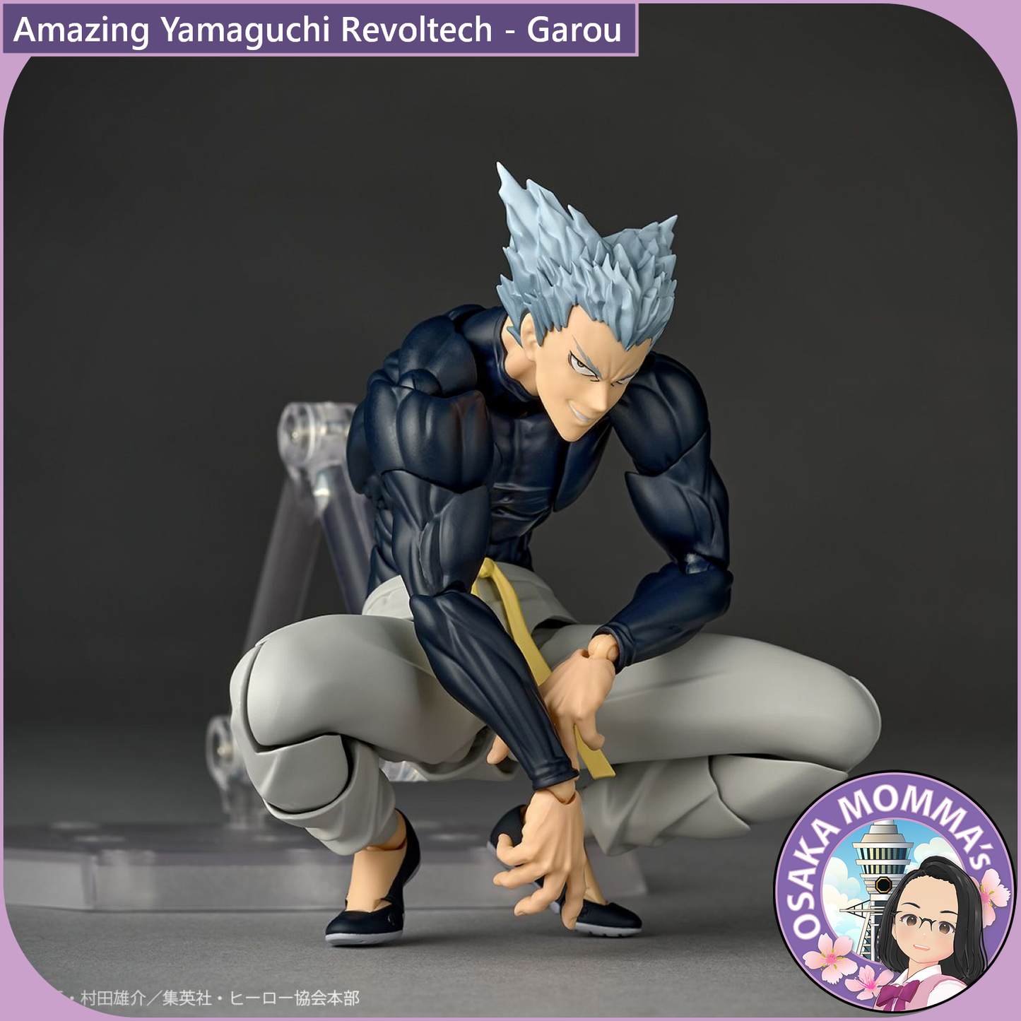 Amazing Yamaguchi Revoltech - Garou【May, 2026】
