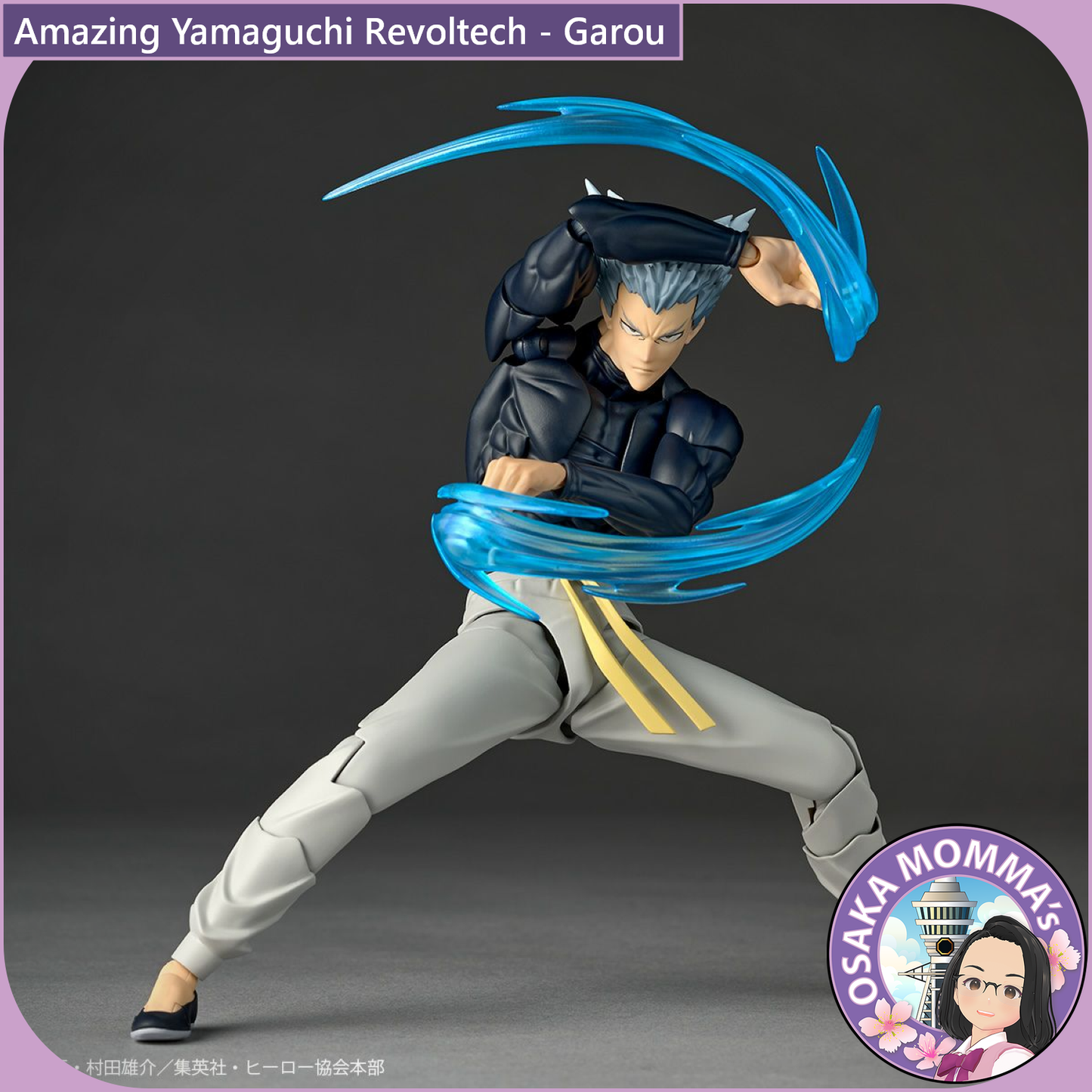 Amazing Yamaguchi Revoltech - Garou【May, 2026】