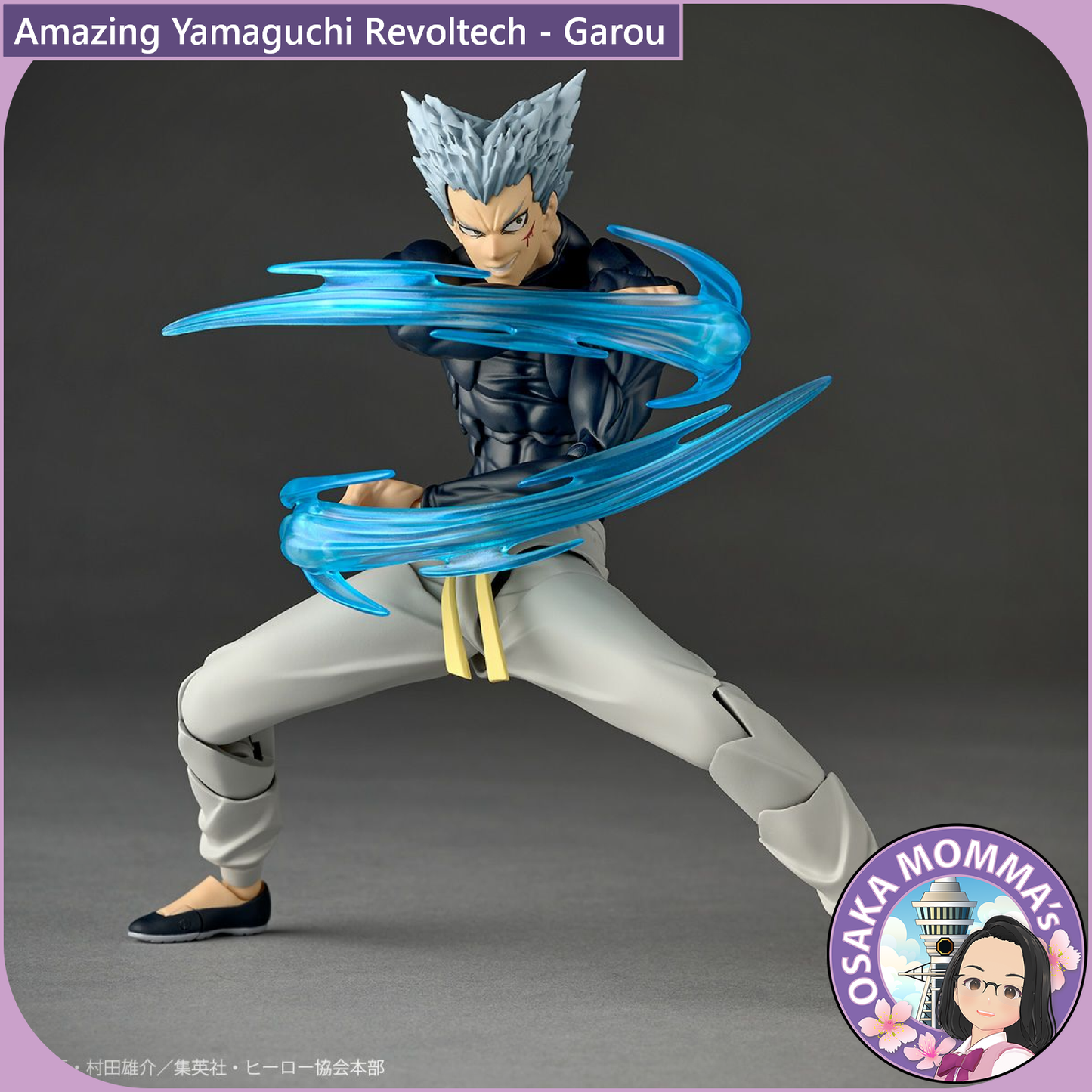 Amazing Yamaguchi Revoltech - Garou【May, 2026】