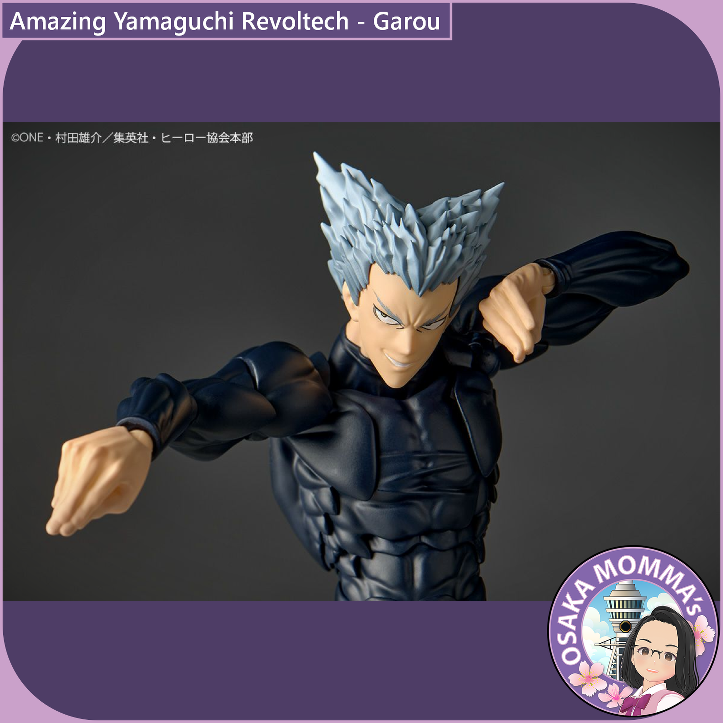 Amazing Yamaguchi Revoltech - Garou【May, 2026】