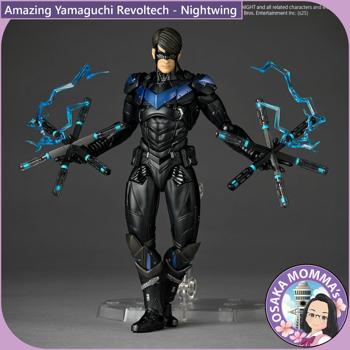 Amazing Yamaguchi Revoltech - Nightwing【June, 2026】