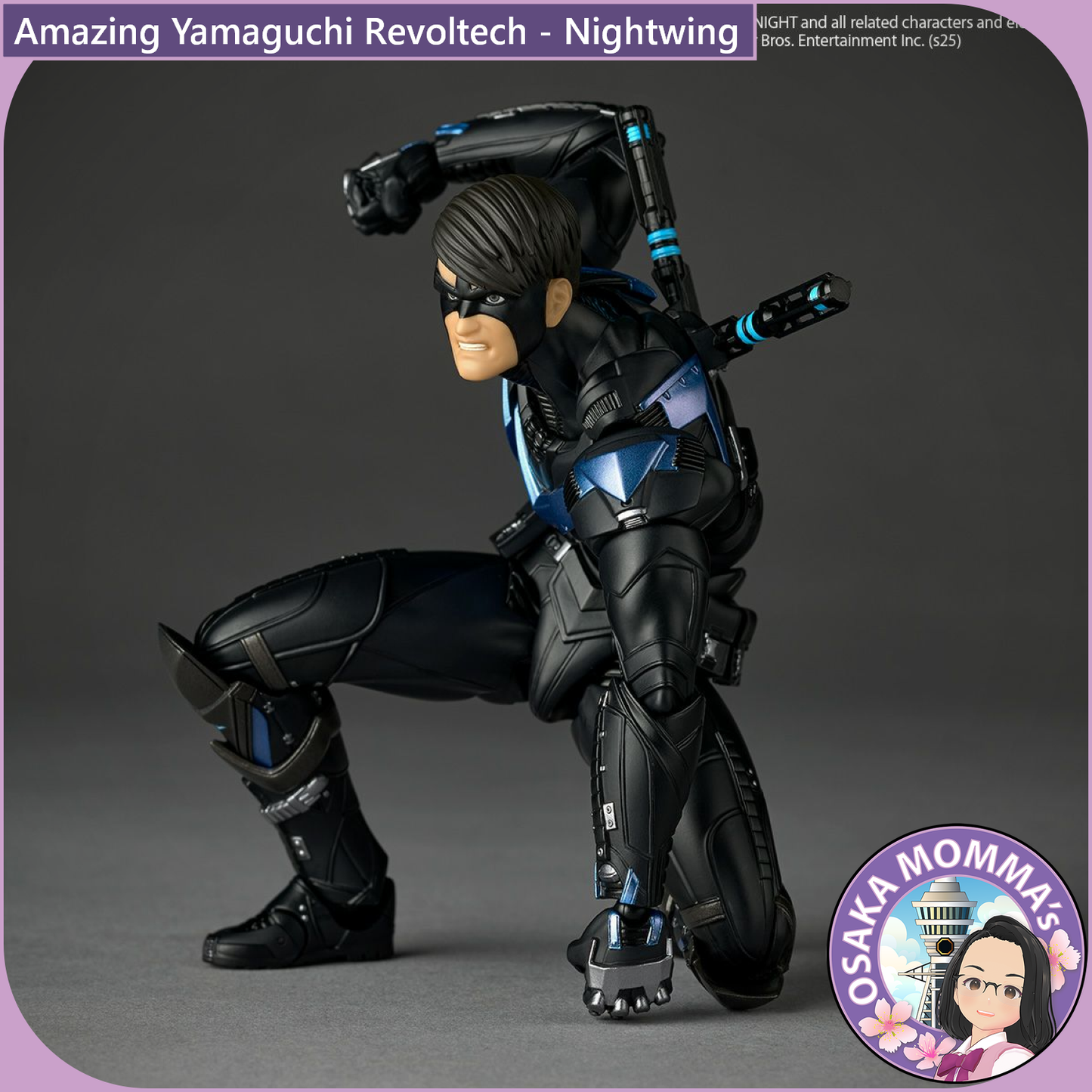 Amazing Yamaguchi Revoltech - Nightwing【June, 2026】