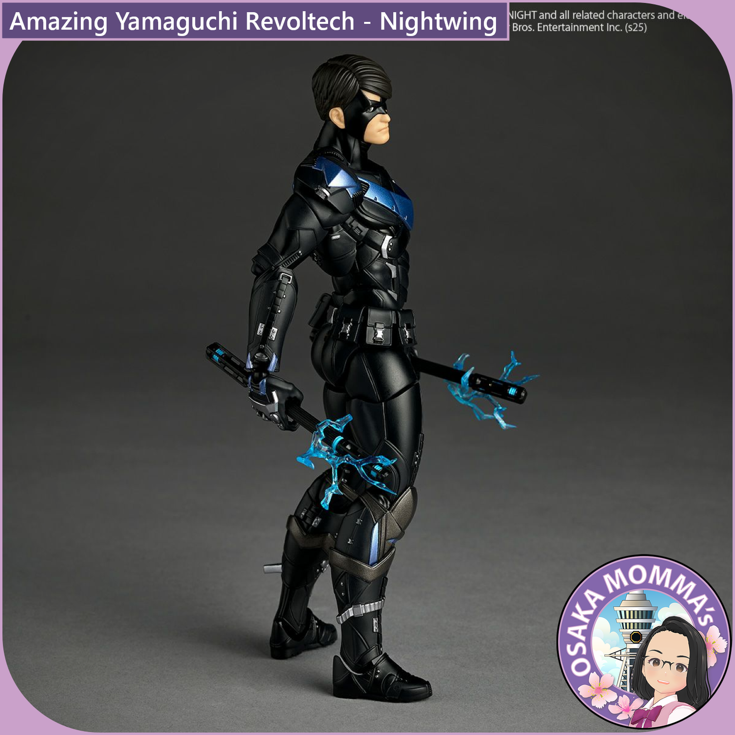 Amazing Yamaguchi Revoltech - Nightwing【June, 2026】