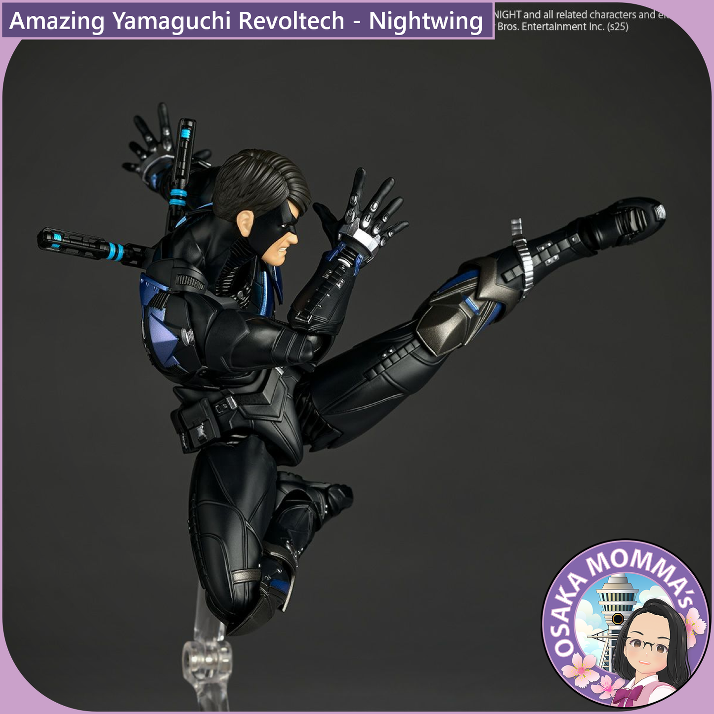Amazing Yamaguchi Revoltech - Nightwing【June, 2026】