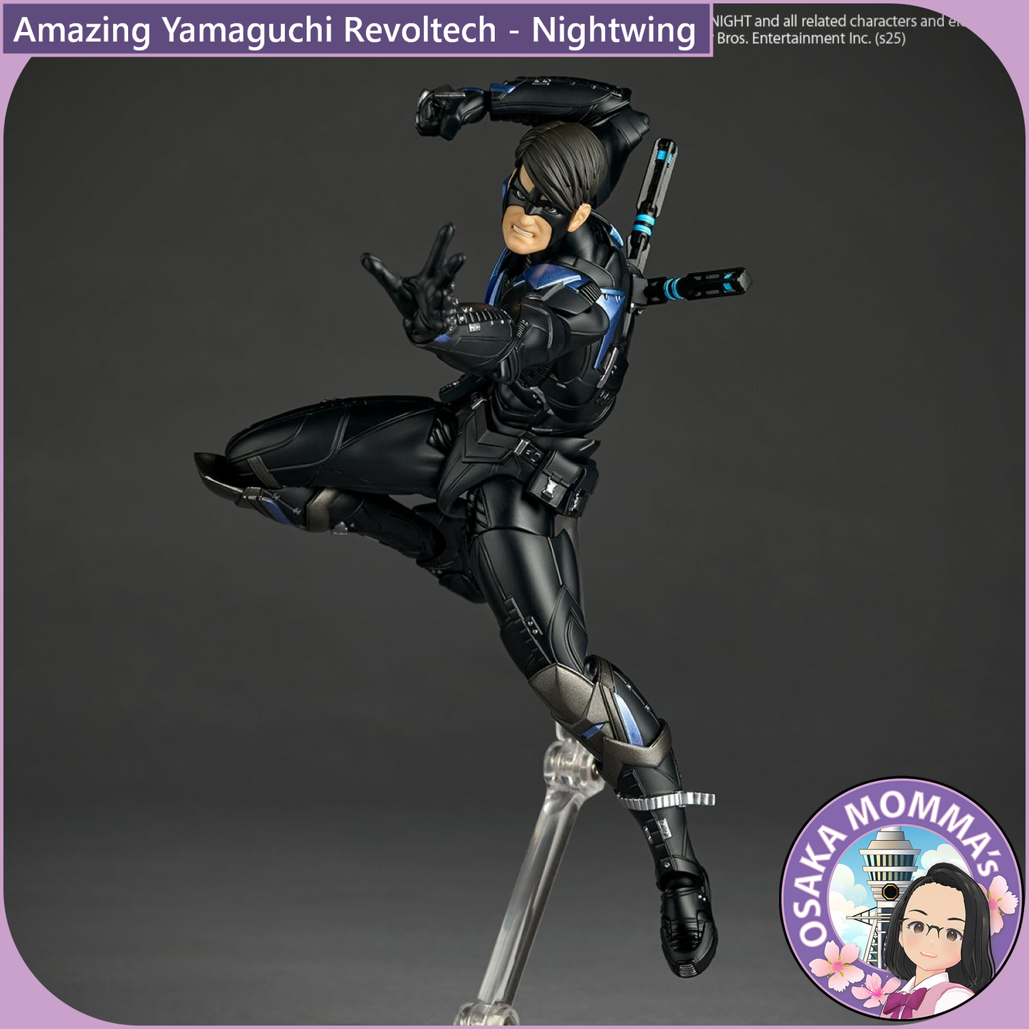 Amazing Yamaguchi Revoltech - Nightwing【June, 2026】