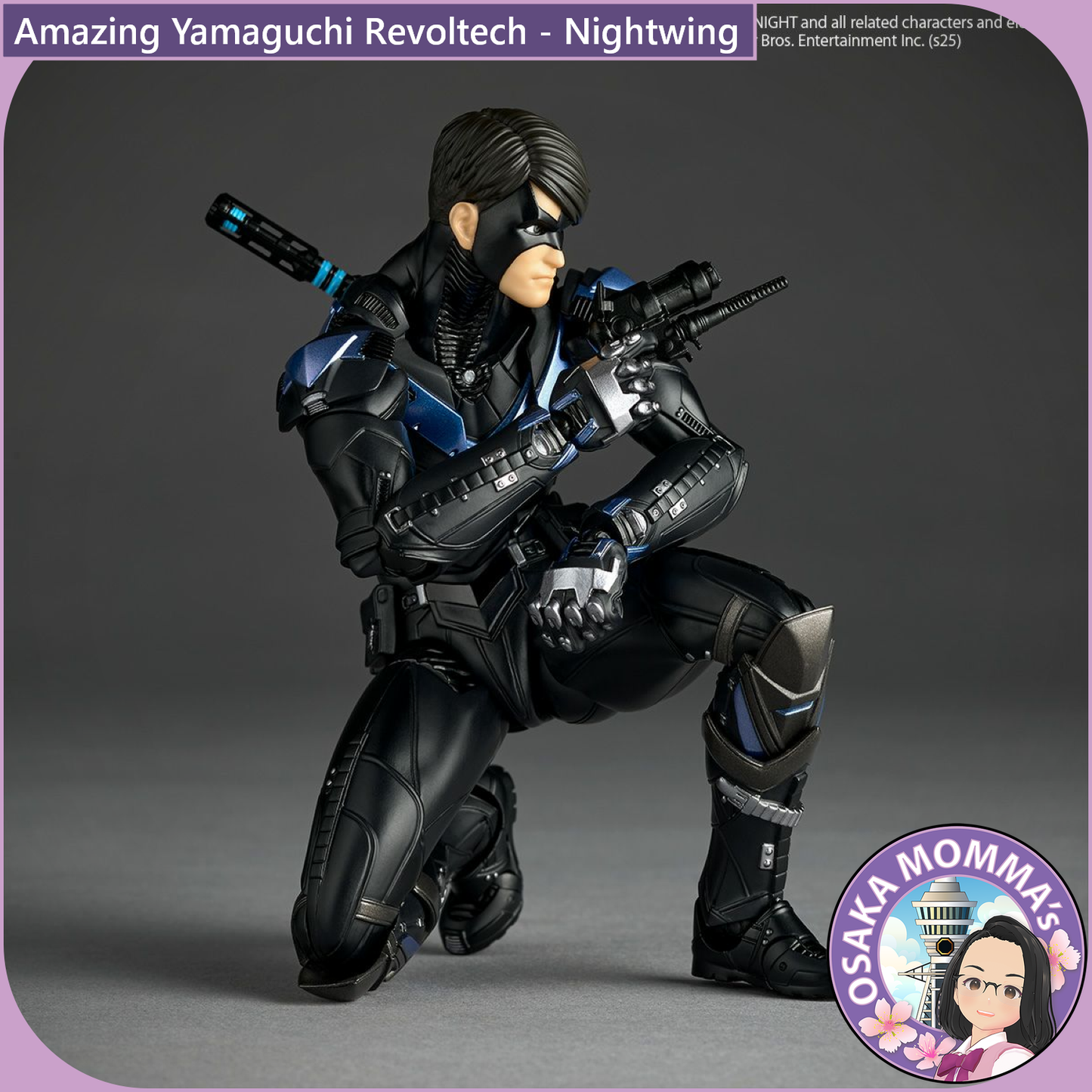 Amazing Yamaguchi Revoltech - Nightwing【June, 2026】
