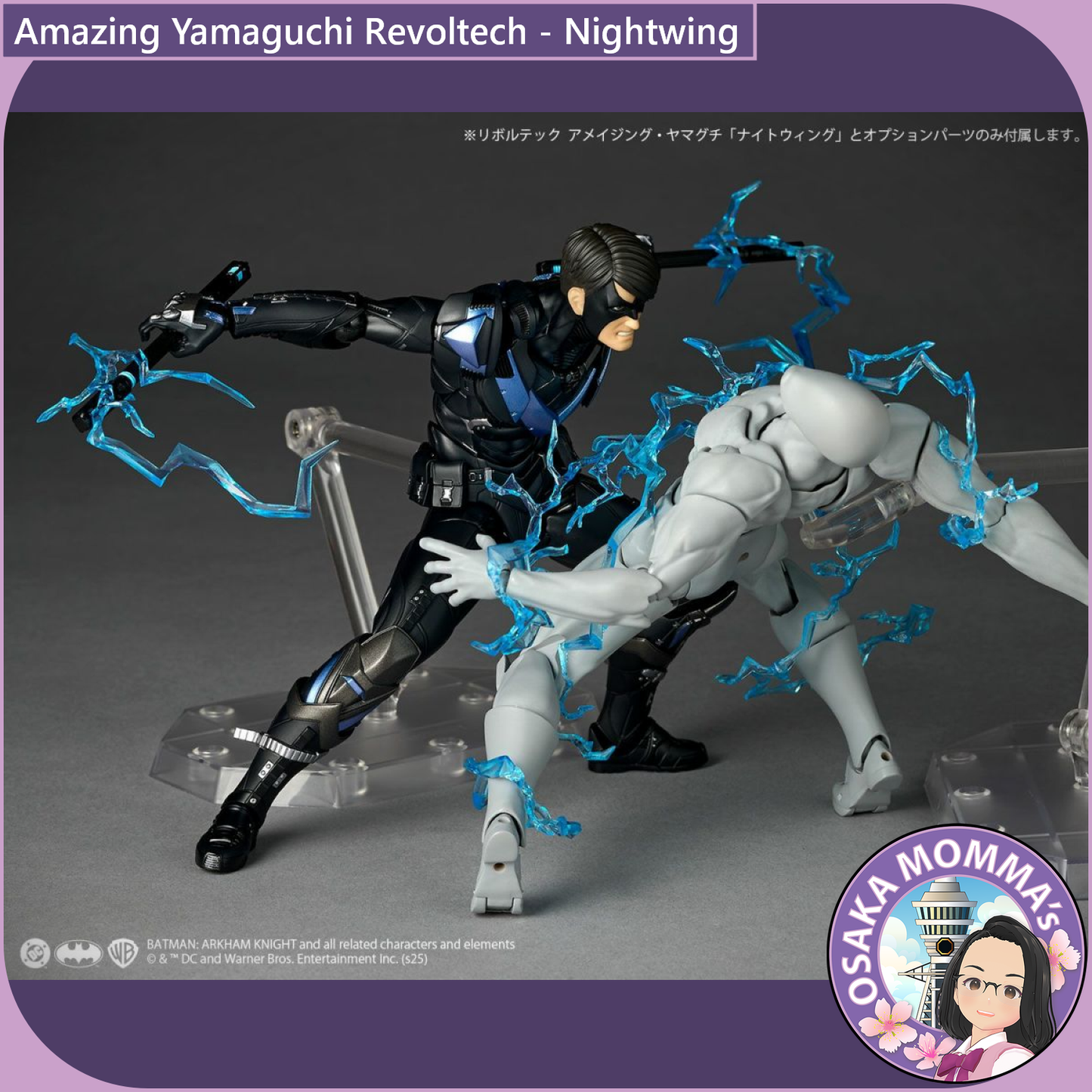 Amazing Yamaguchi Revoltech - Nightwing【June, 2026】