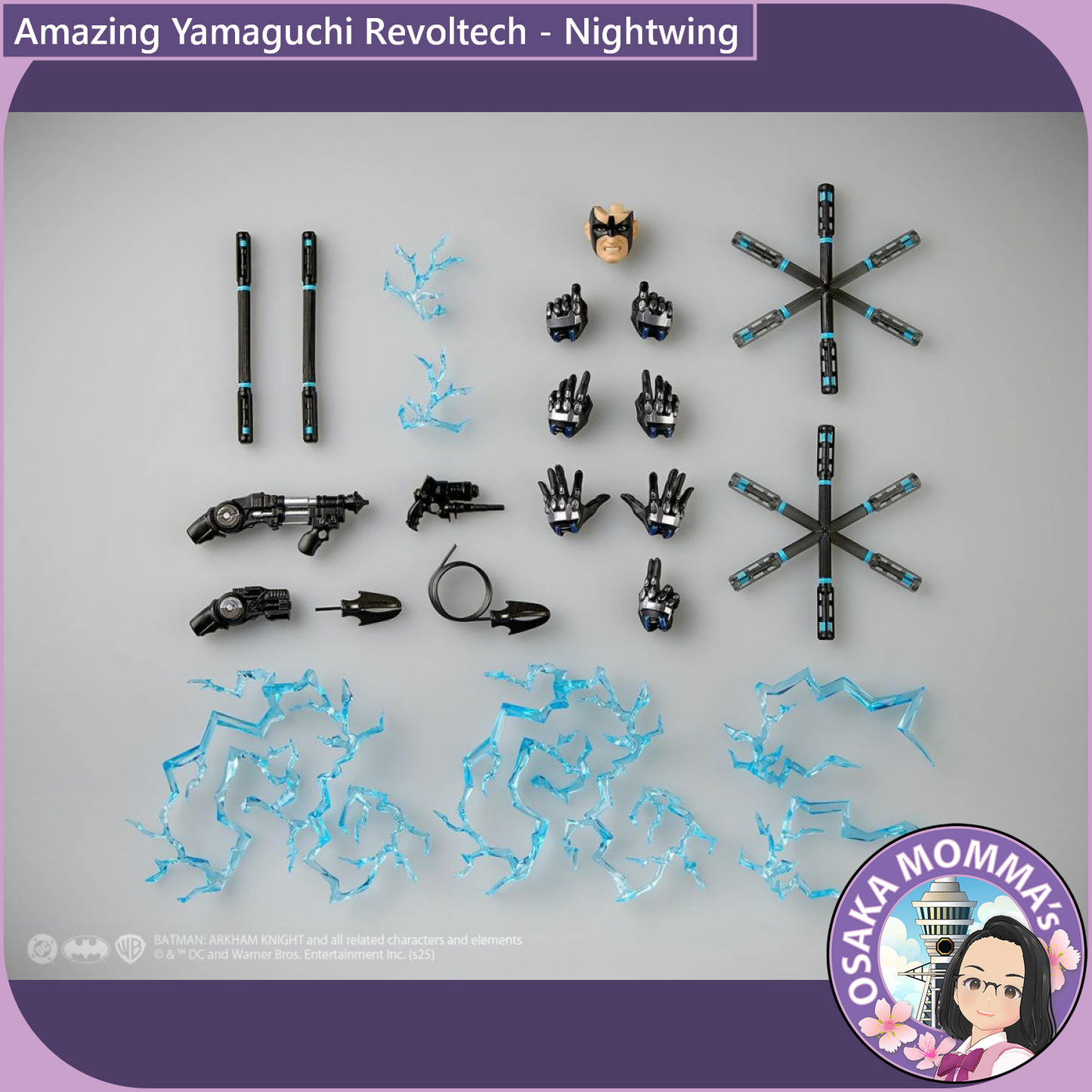 Amazing Yamaguchi Revoltech - Nightwing【June, 2026】