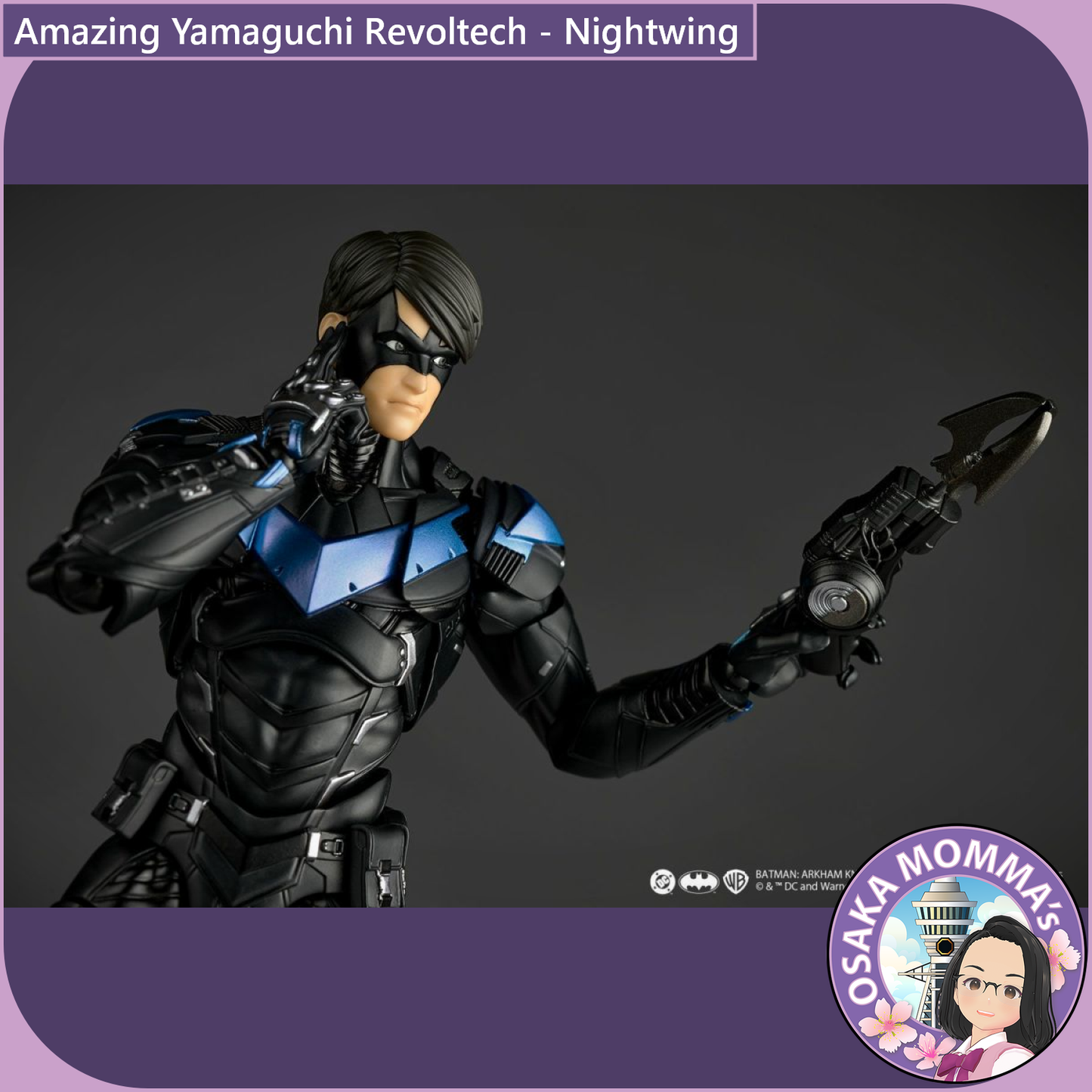 Amazing Yamaguchi Revoltech - Nightwing【June, 2026】