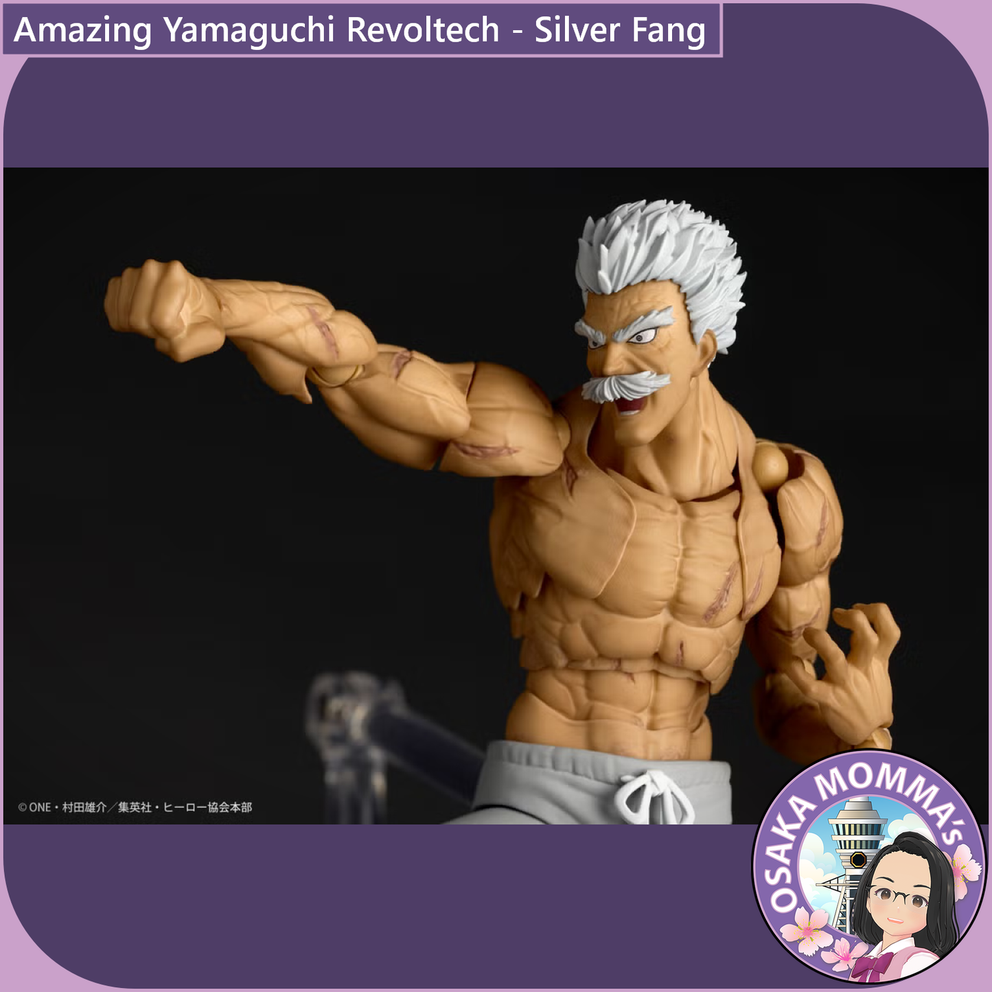 Amazing Yamaguchi Revoltech - Silver Fang【Nov,2026】