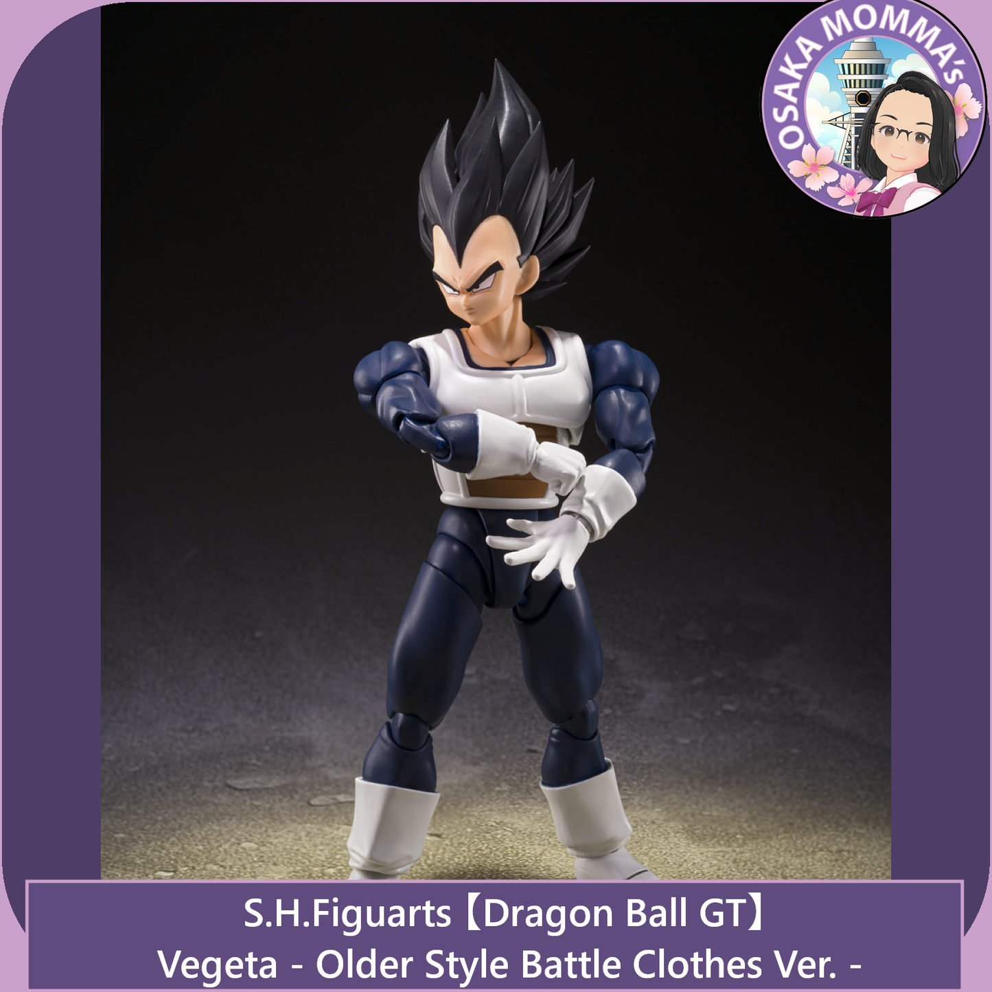 Vegeta Older Style Battle Clothes