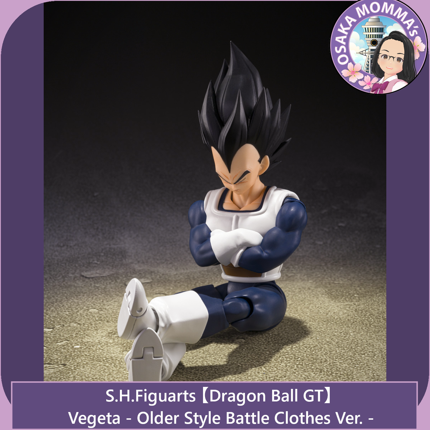 Vegeta Older Style Battle Clothes
