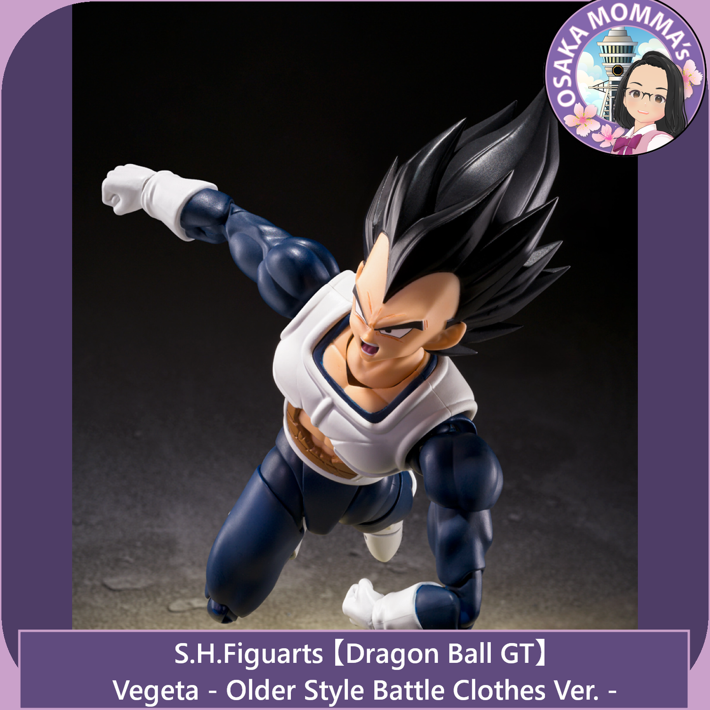 Vegeta Older Style Battle Clothes