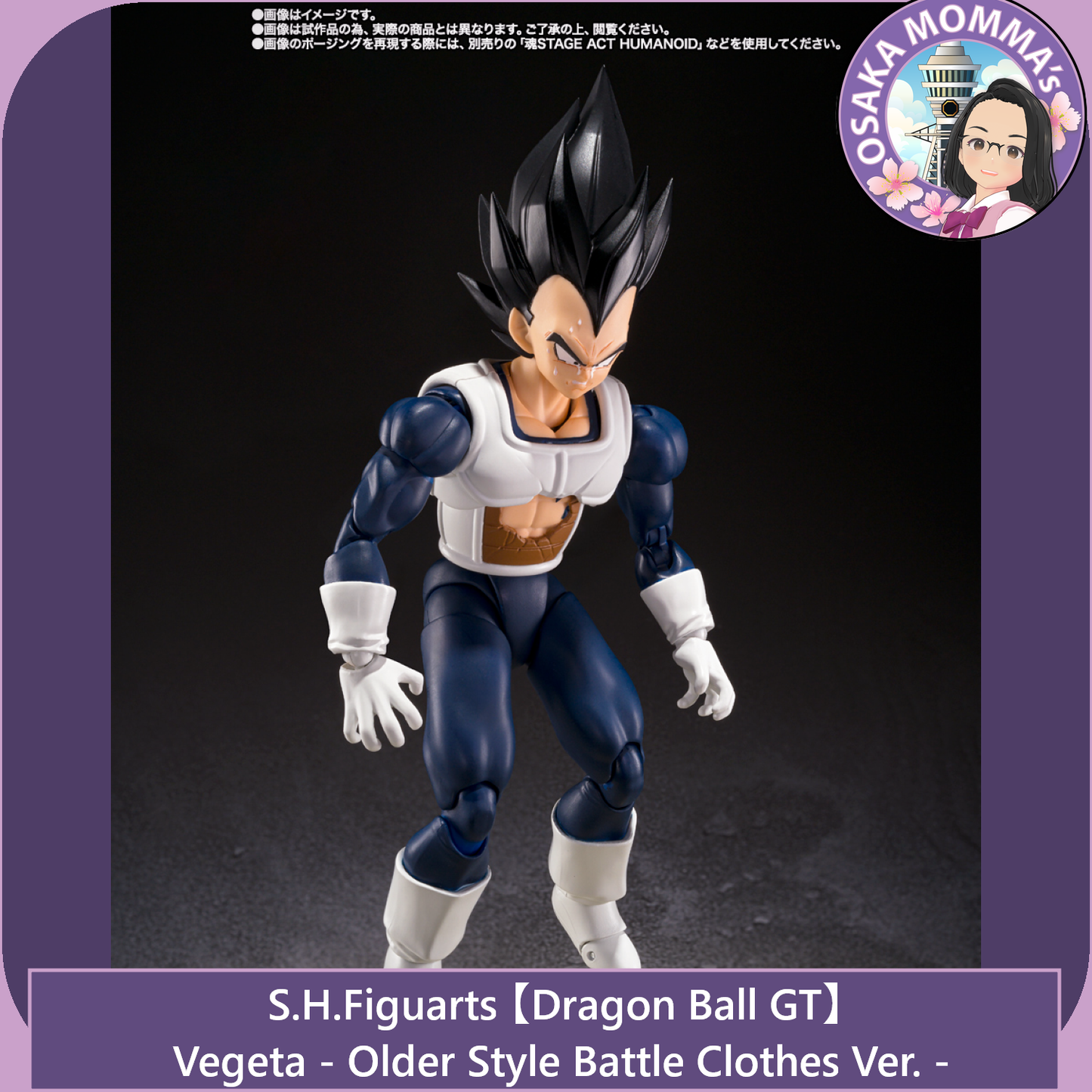 Vegeta Older Style Battle Clothes