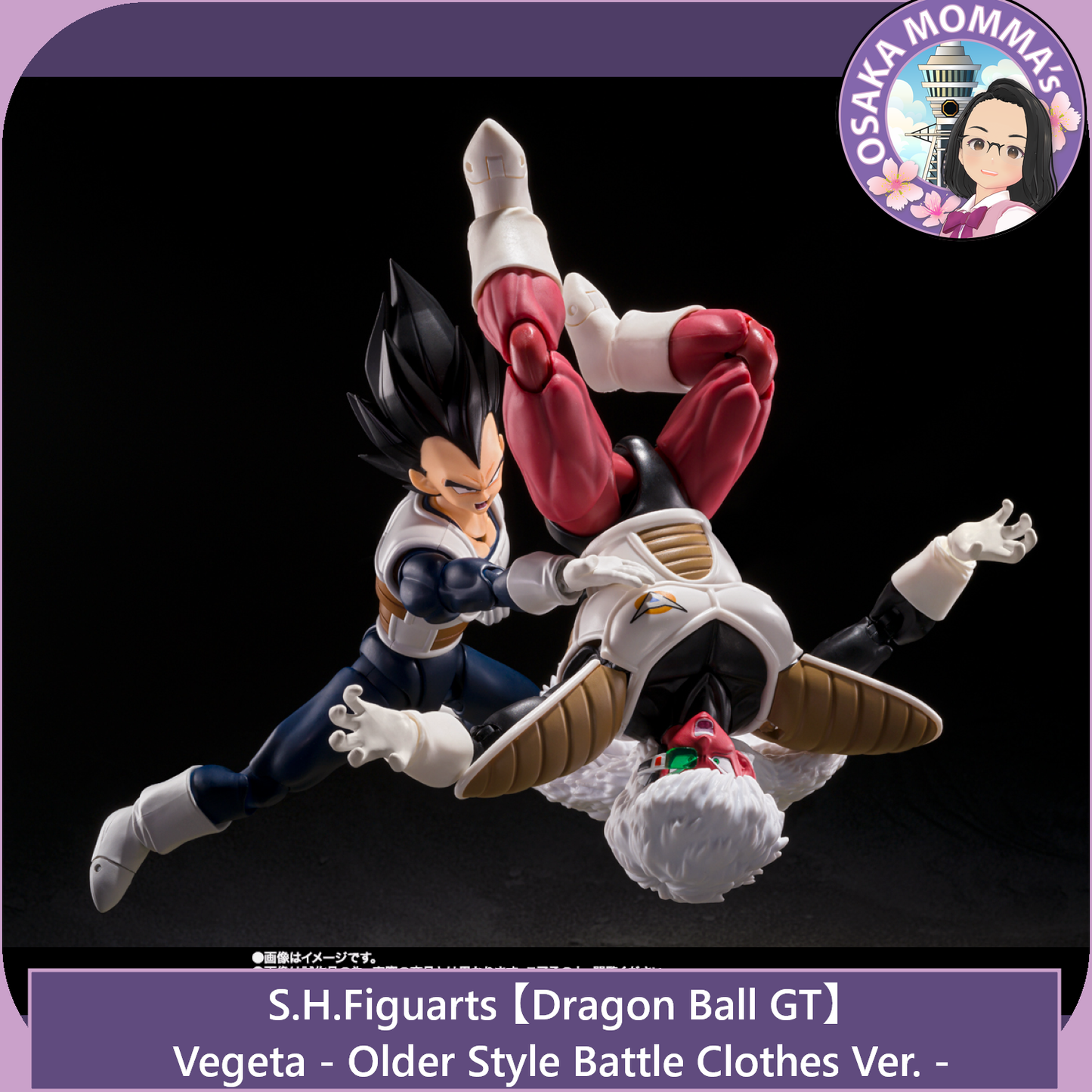 Vegeta Older Style Battle Clothes