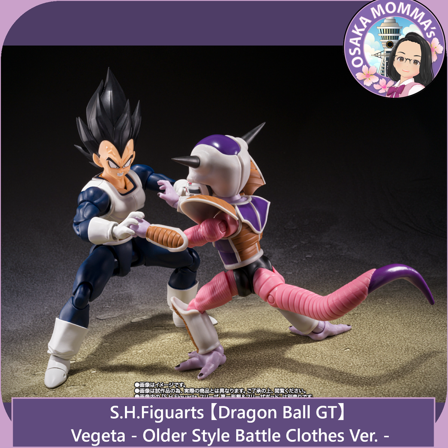 Vegeta Older Style Battle Clothes