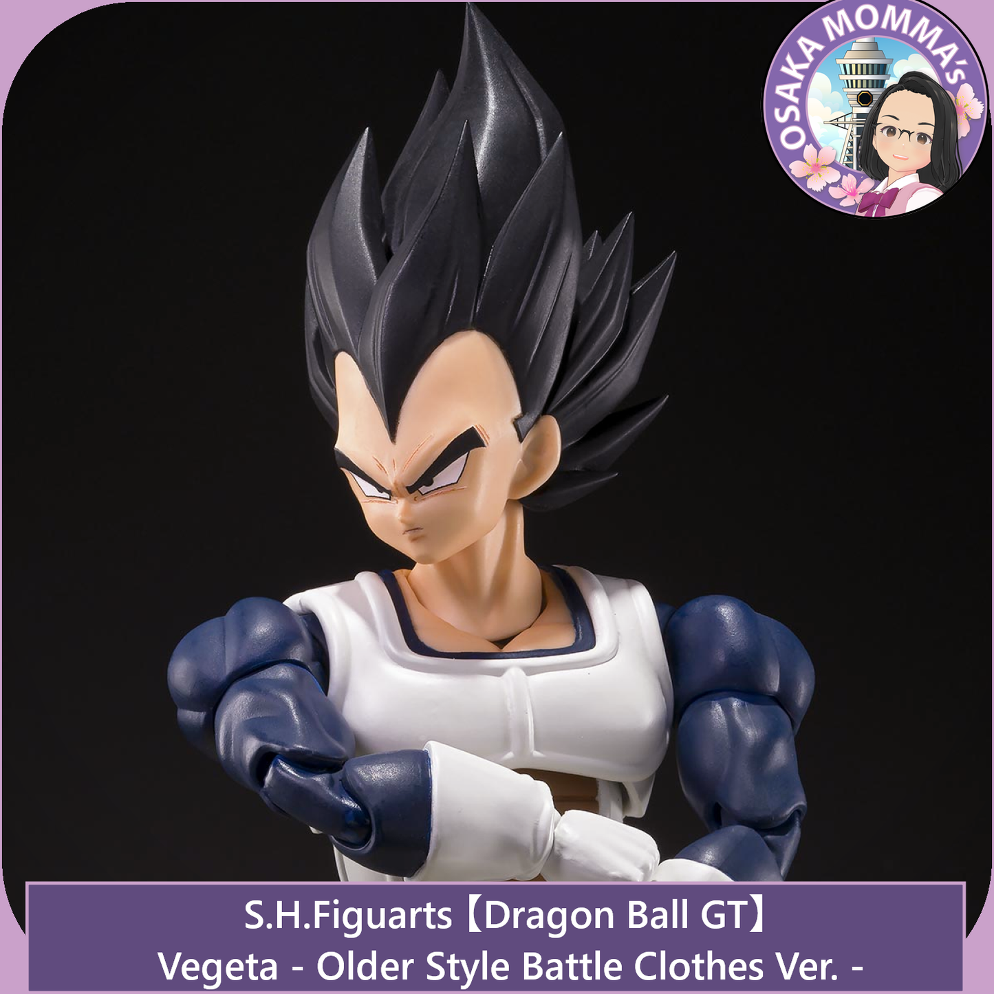 Vegeta Older Style Battle Clothes