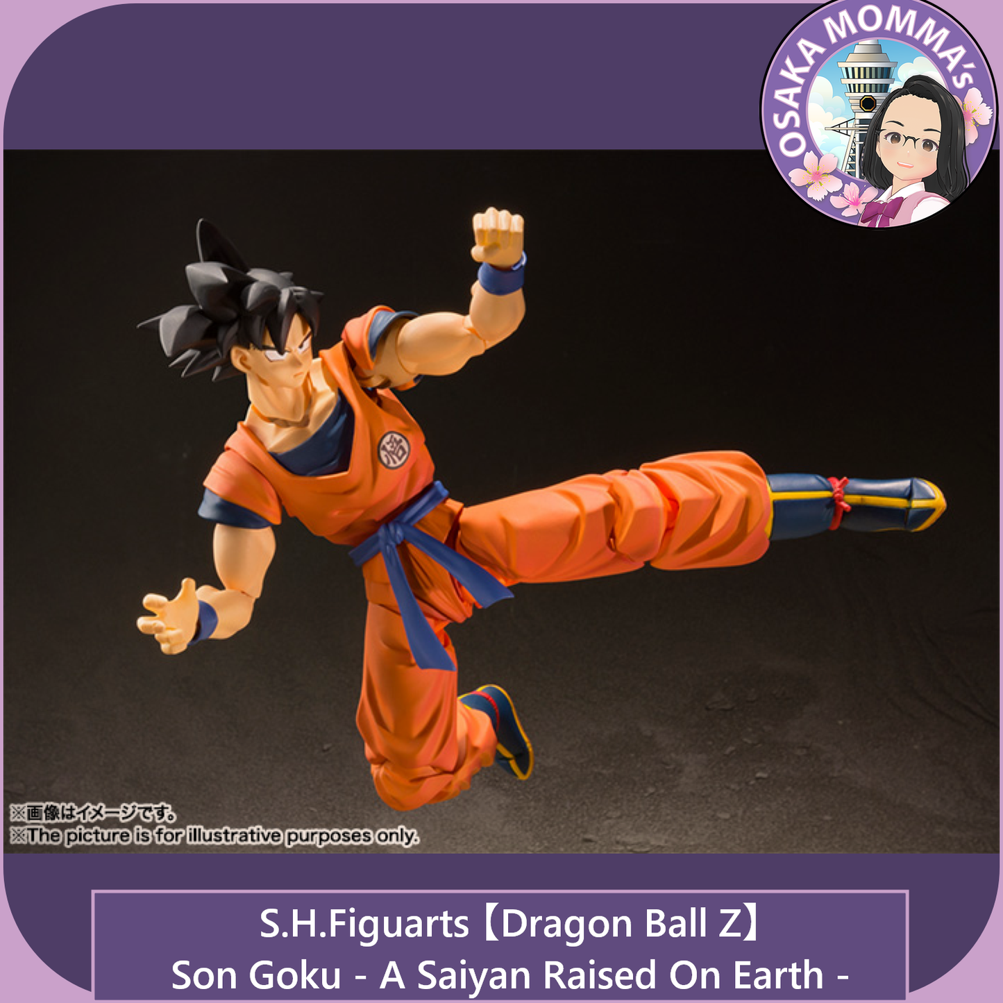 Son Goku - A SAIYAN RAISED ON EARTH - S.H.Figuarts