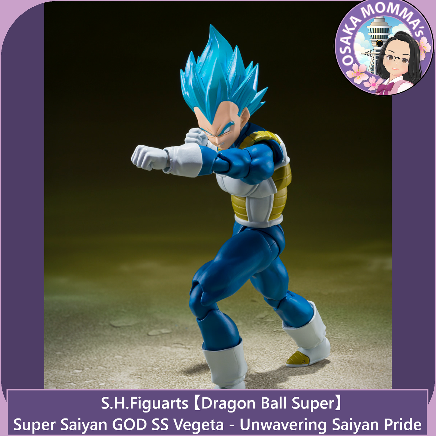 Super Saiyan GOD SS Vegeta - Unwavering Saiyan Pride