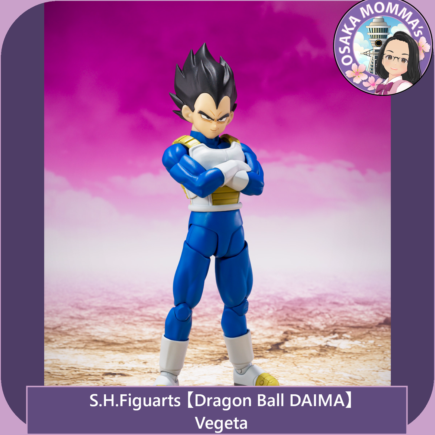 【DB DAIMA】Vegeta - S.H.Figuarts