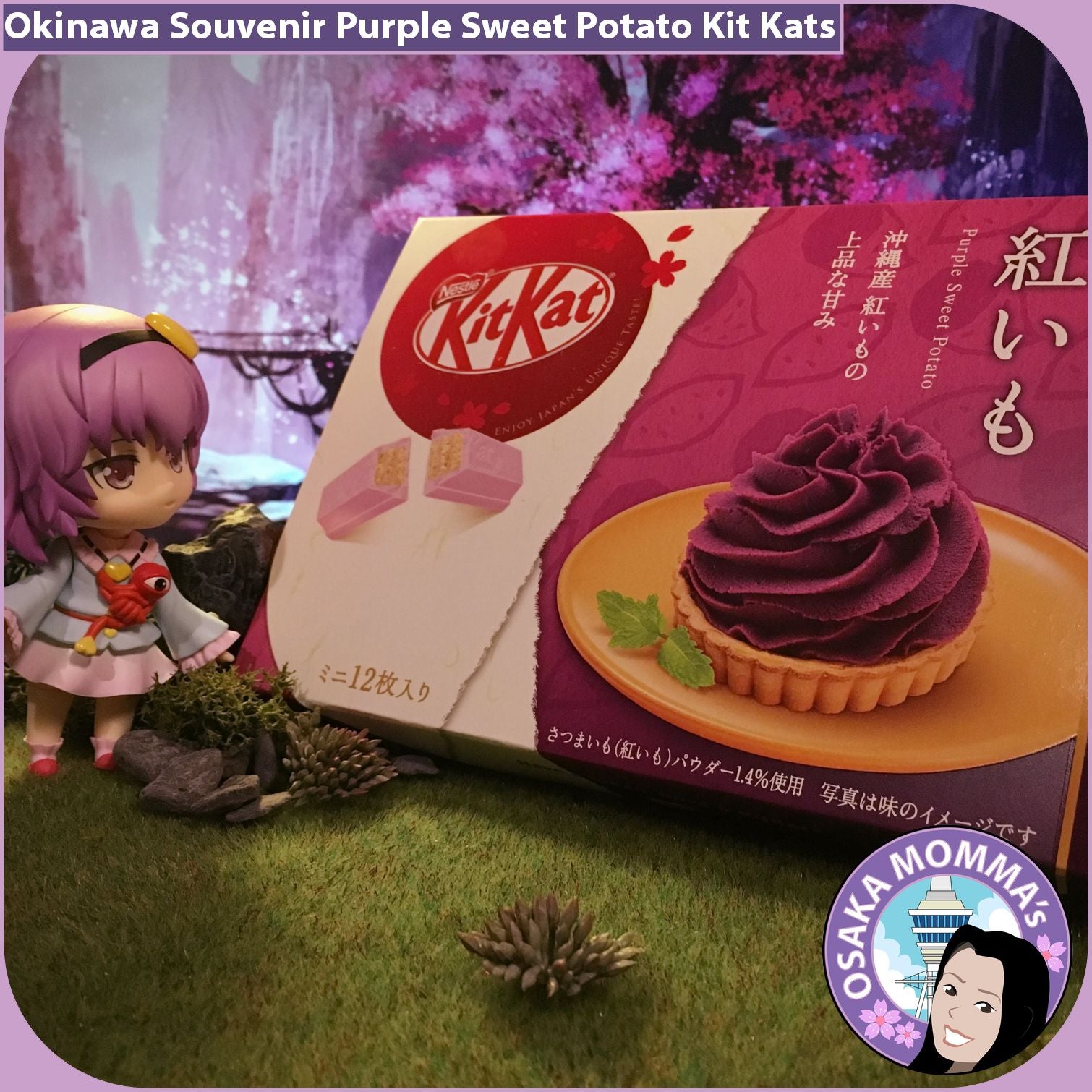 Okinawa Souvenir Purple Sweet Potato Kit Kat Osaka Momma's Japanese Goods