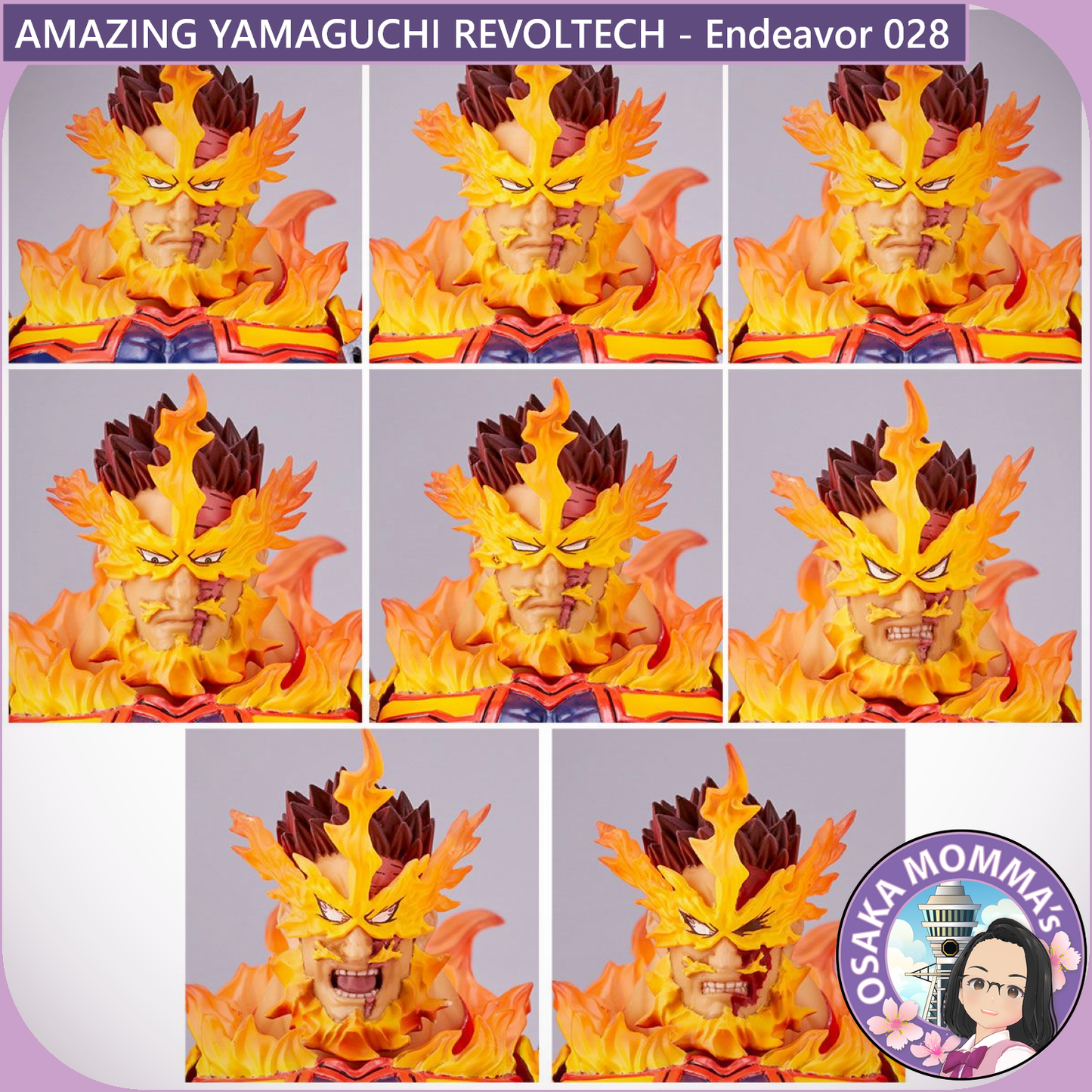 Amazing Yamaguchi Revoltech - Endeavor 028