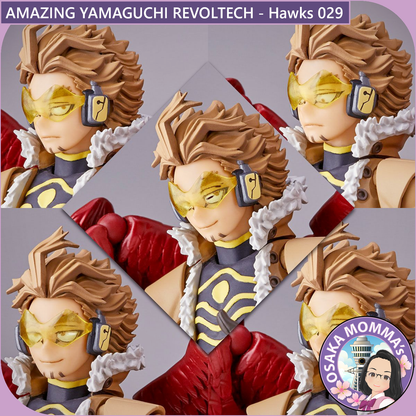 Amazing Yamaguchi Revoltech - Hawks 029