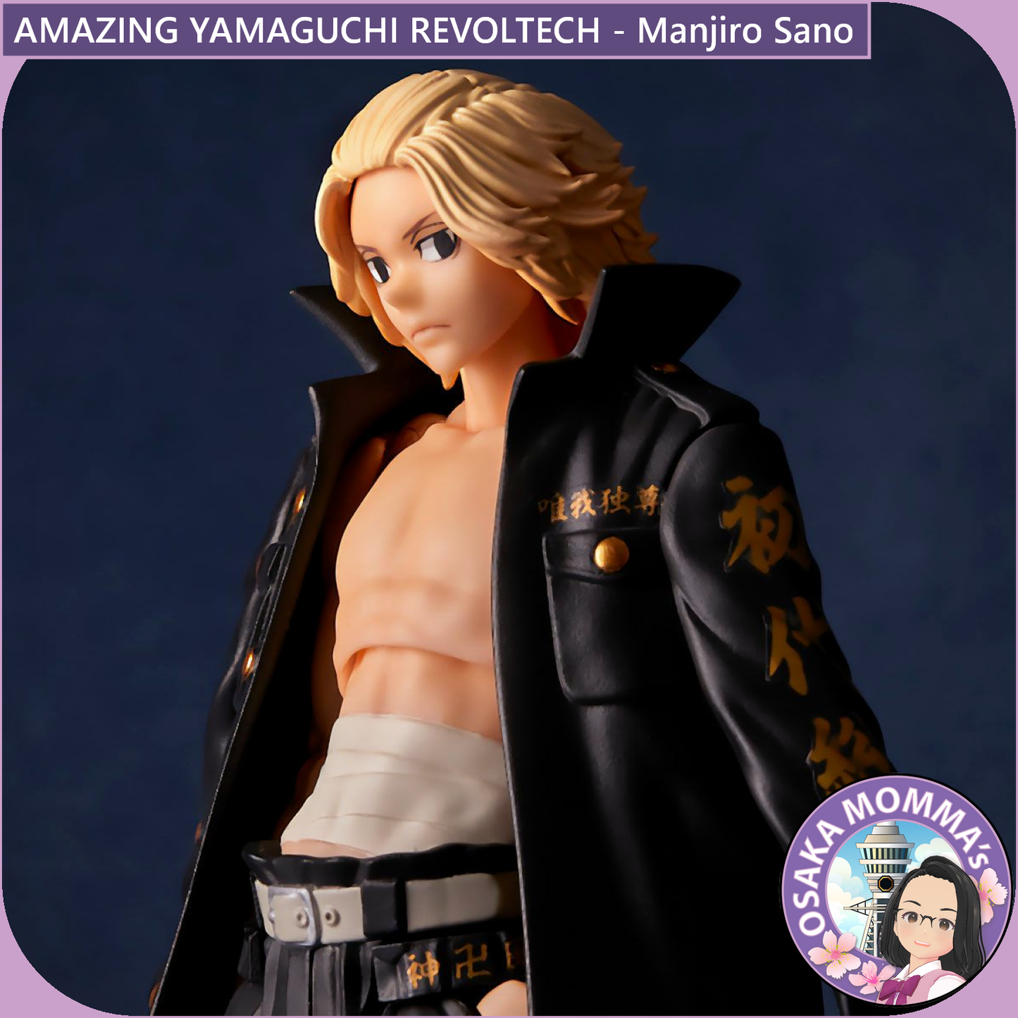 Amazing Yamaguchi Revoltech - Manjiro Sano