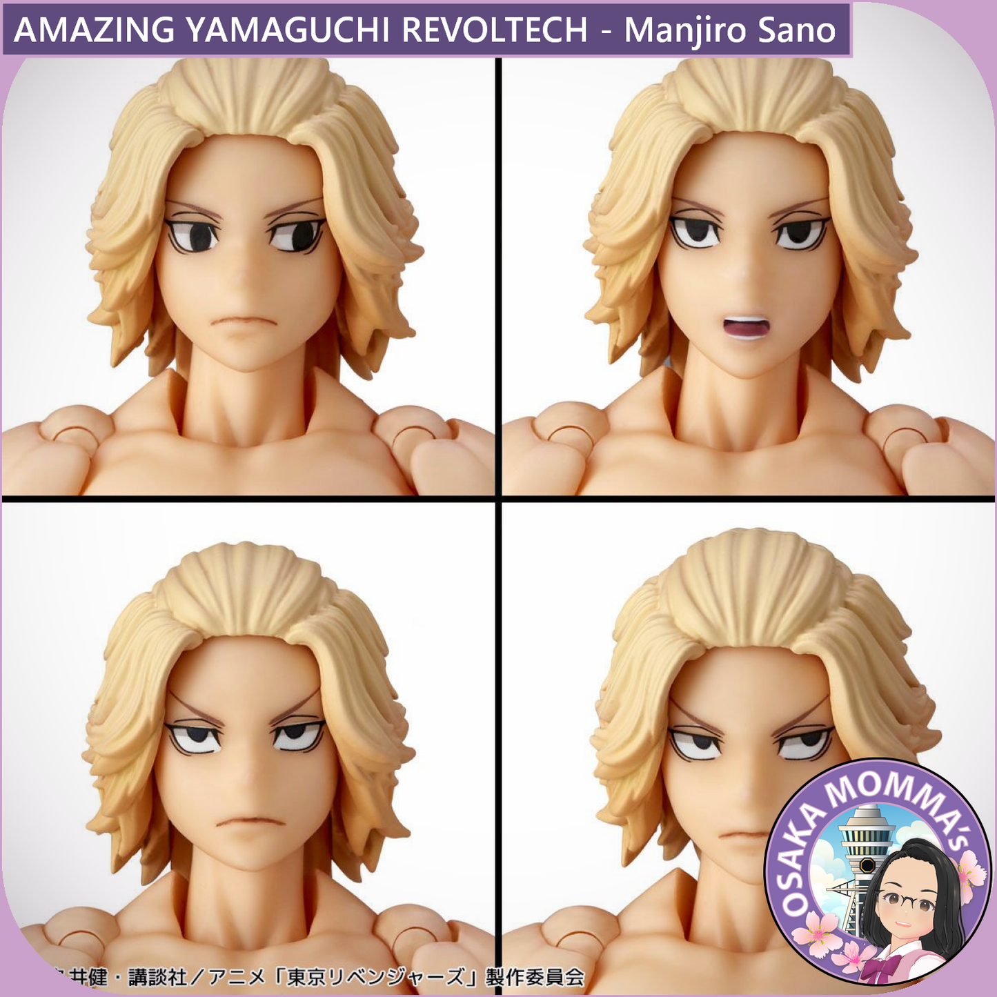 Amazing Yamaguchi Revoltech - Manjiro Sano